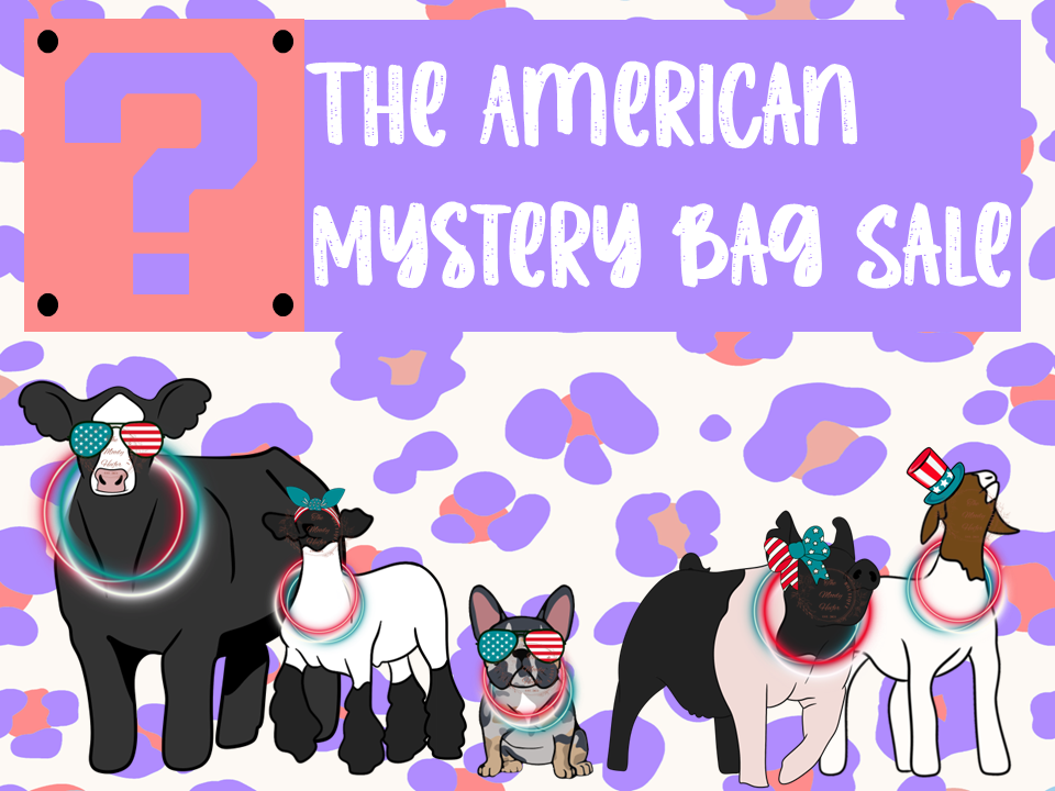 The American Mystery Bag
