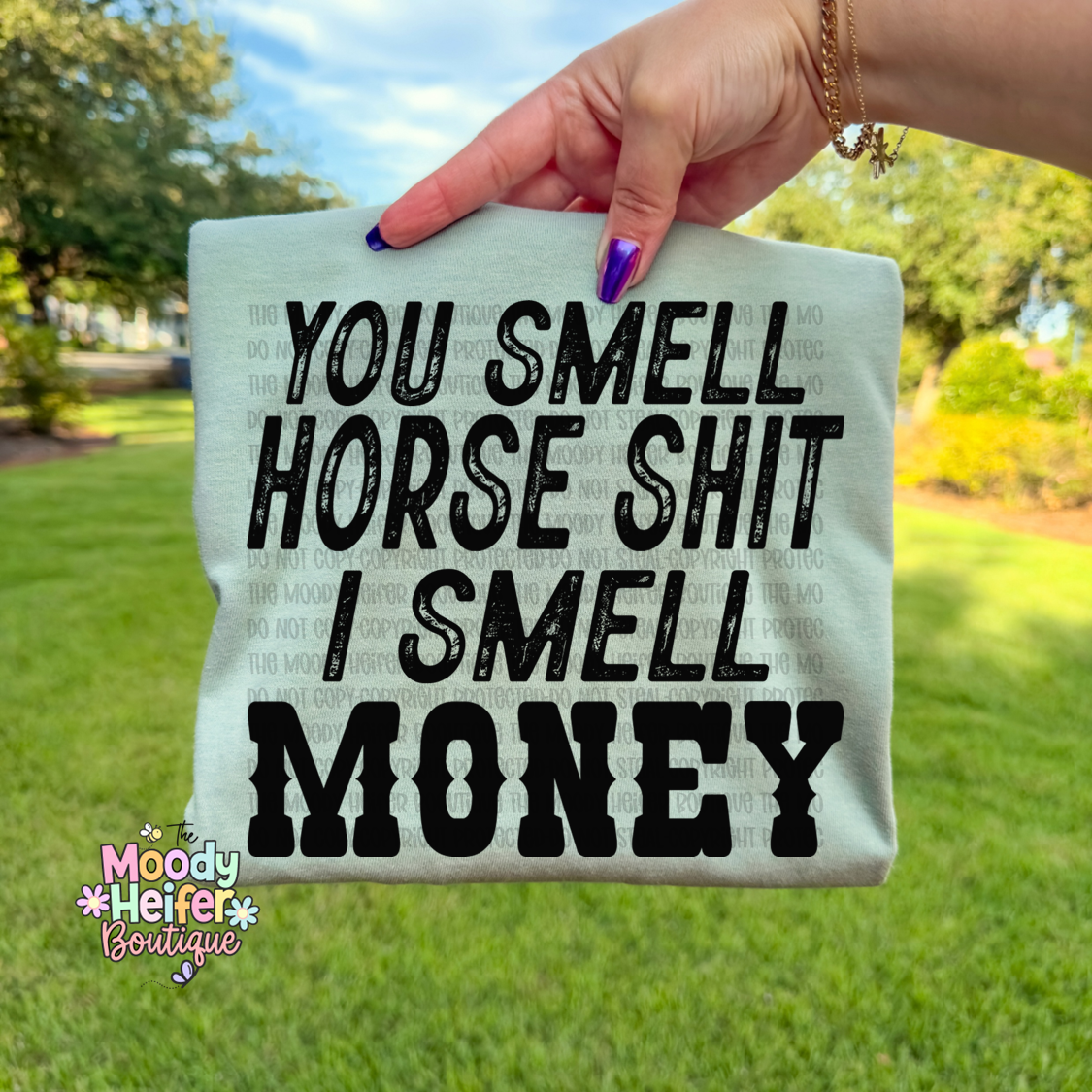horse shit.png