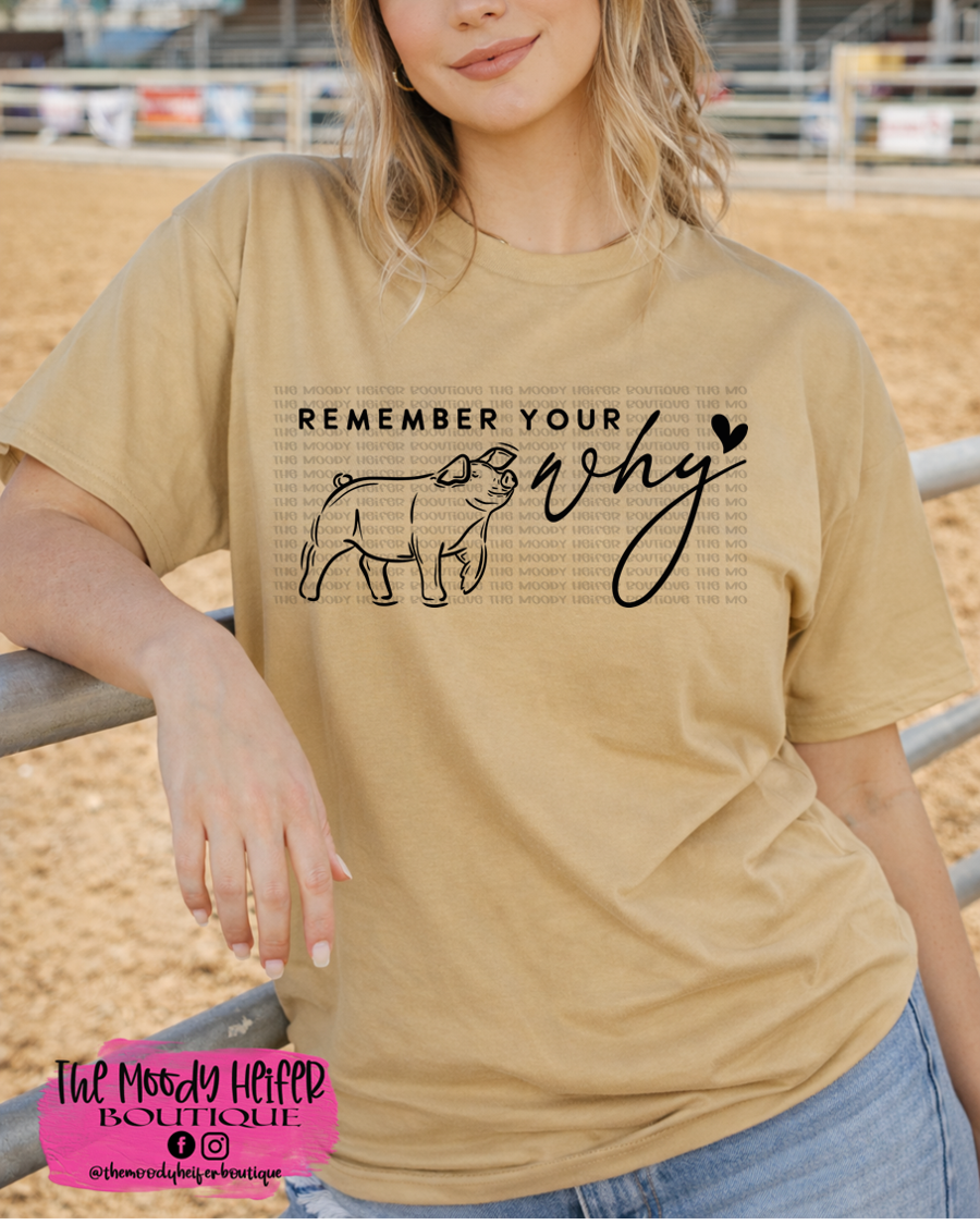 old gold why pig.png