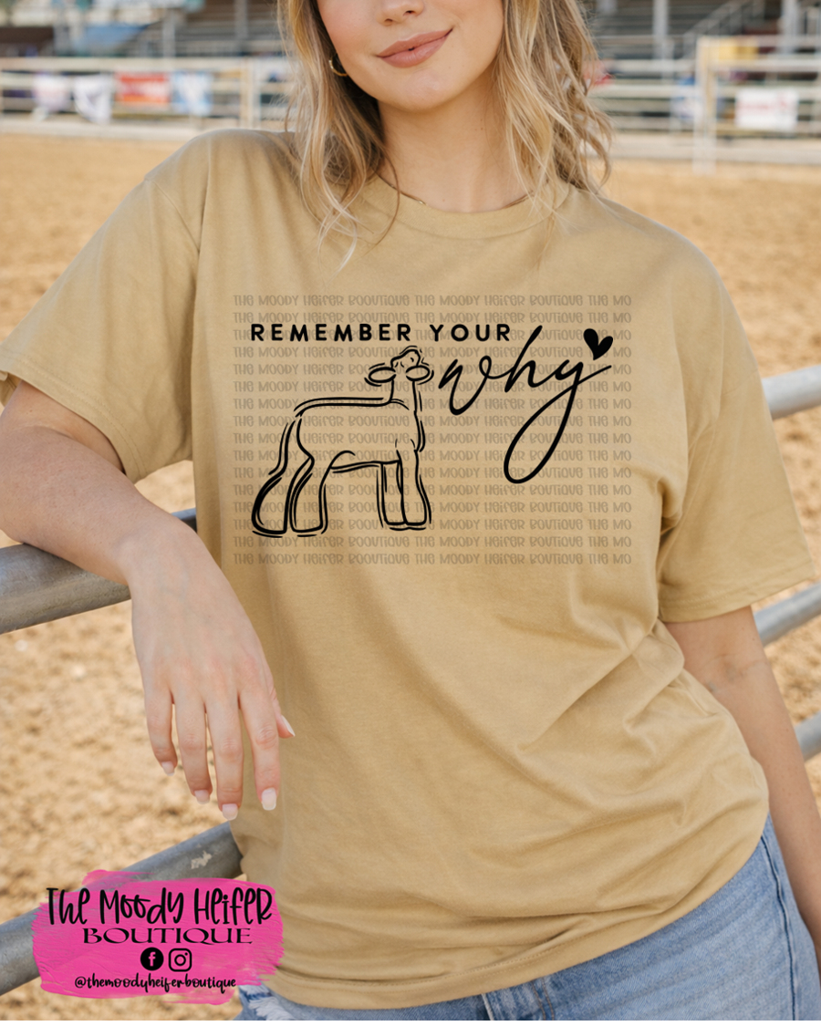 old gold why lamb.png