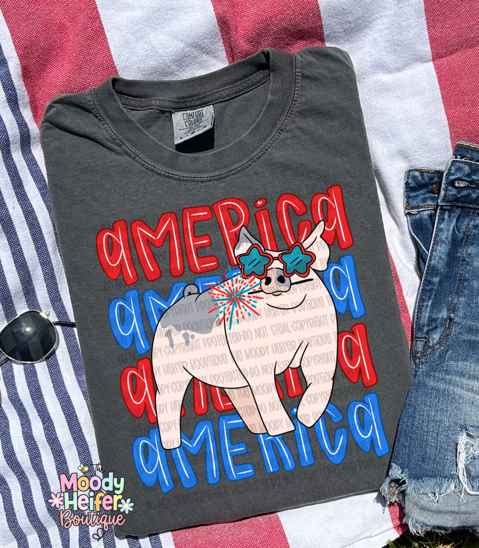 america pig.png