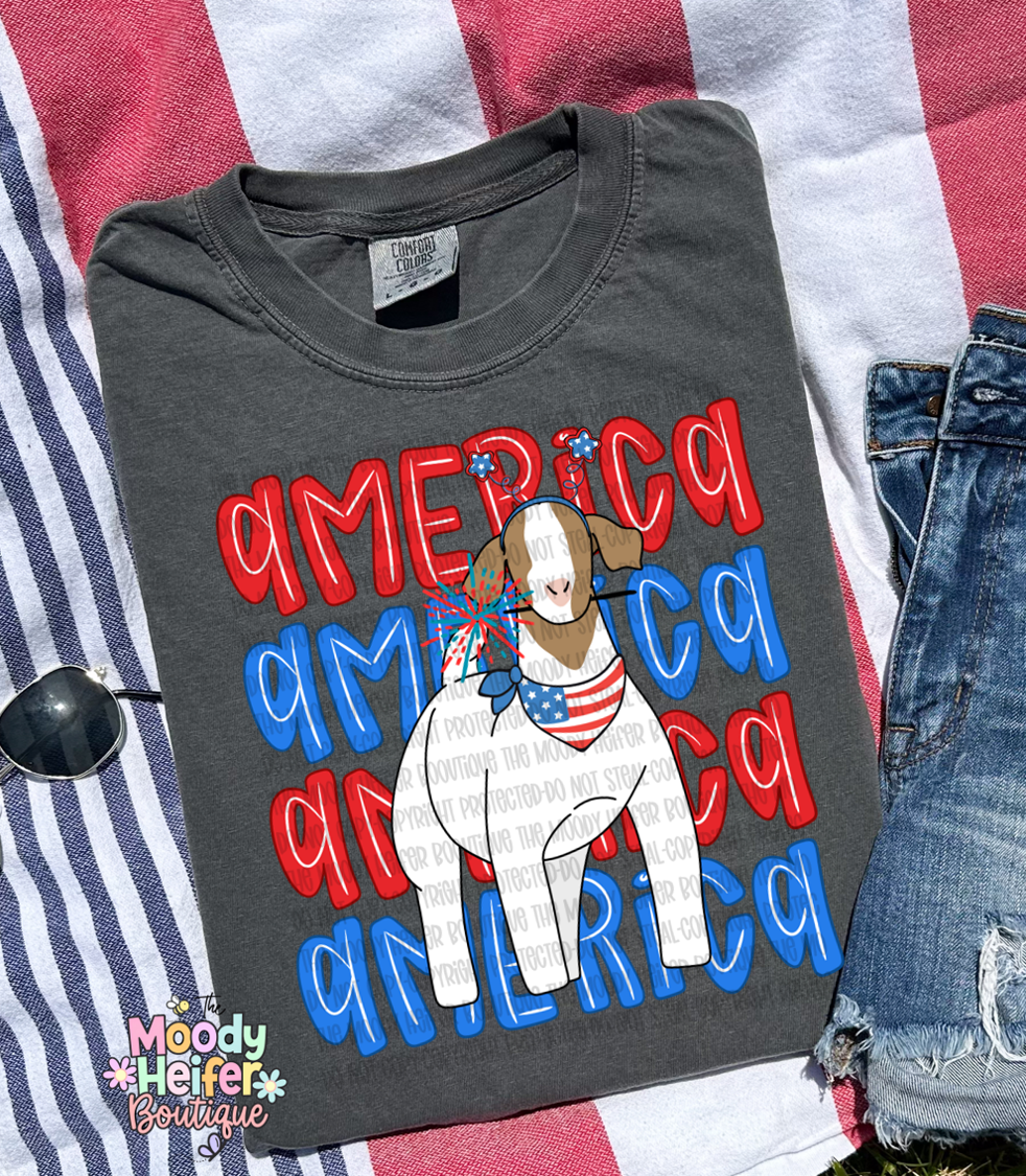 america goat.png