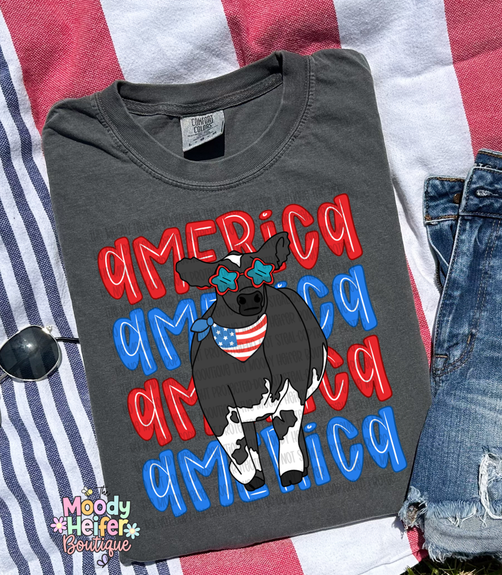 america cow.png