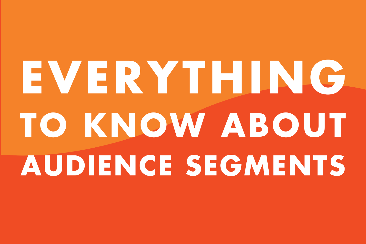 Everything You Need to Know About Audience Segments