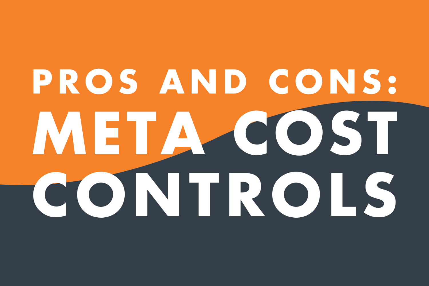 Pros and Cons: Meta Cost Controls