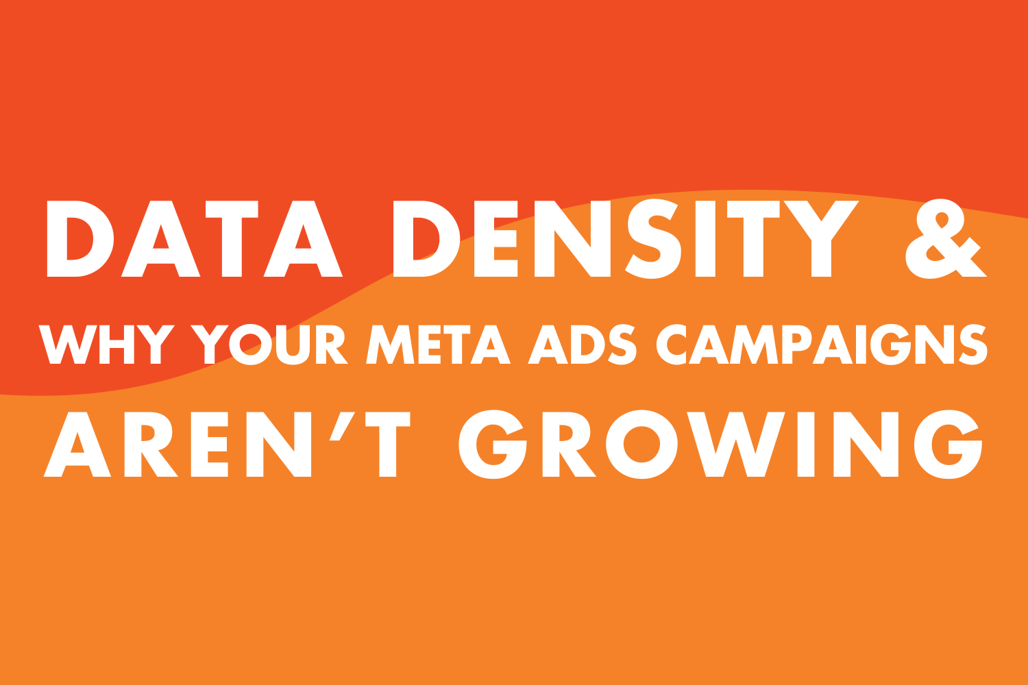 Data Density and Why Your Meta Ads Campaigns Aren’t Growing