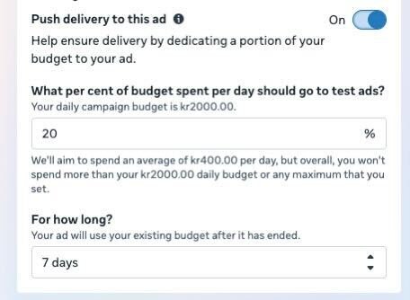 Meta Ads interface showing Push Delivery settings with budget percentage allocation and duration options to prioritize spend on a new ad creative