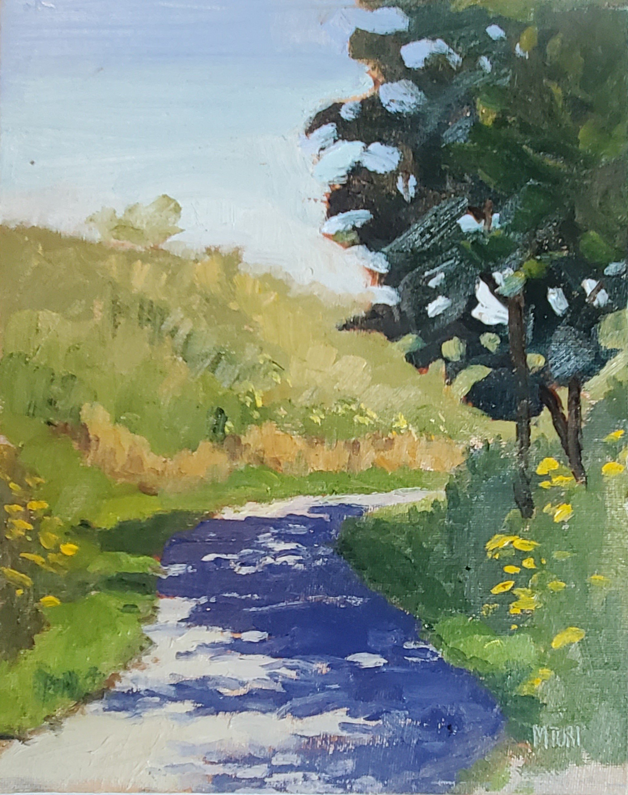 Shady Path.jpg