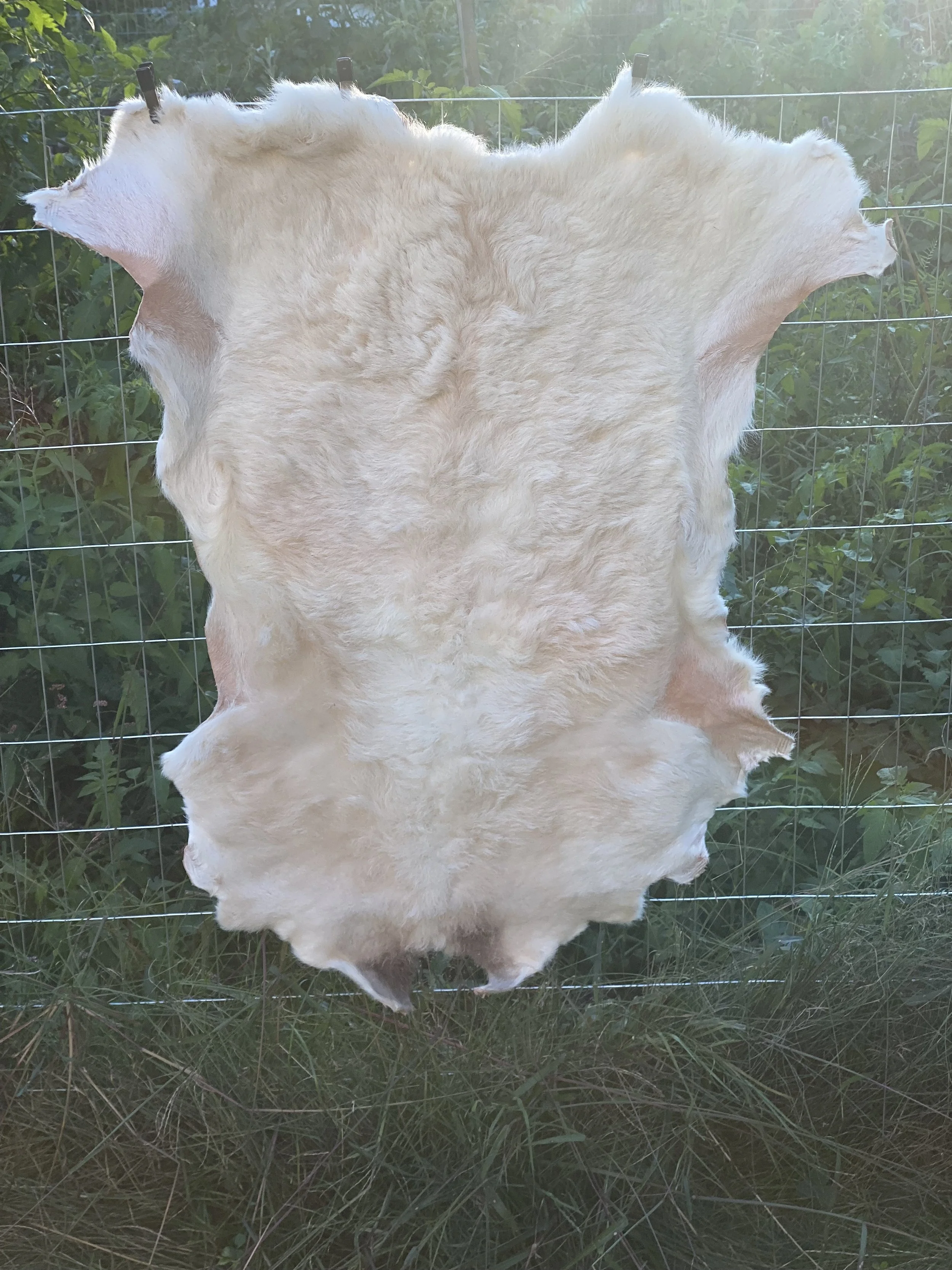 White and Brown Bark-Tanned Lambskin