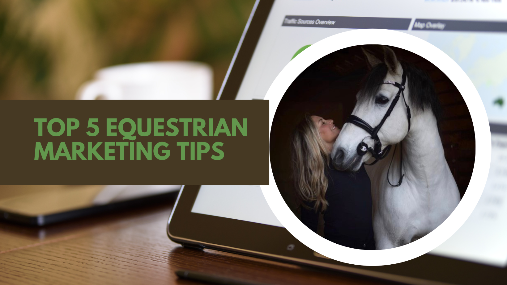 Top 5 Equestrian Marketing Tips