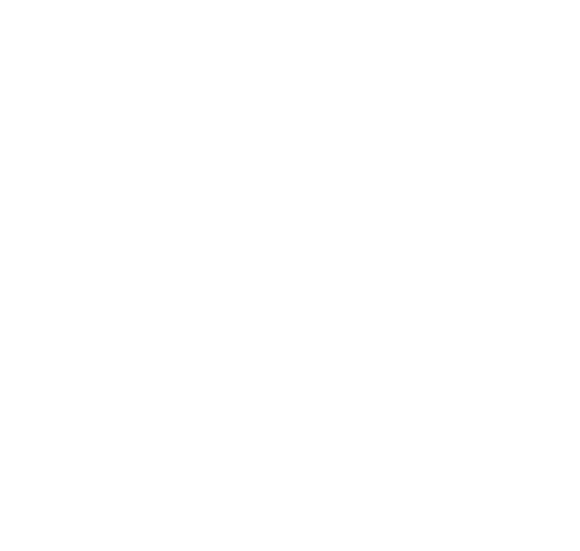 SOUL BLOOM ALCHEMY