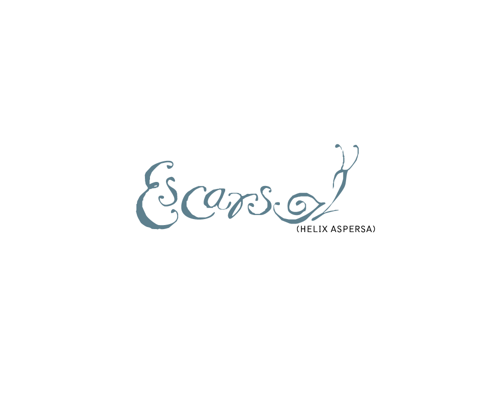 Asset 49800.png
