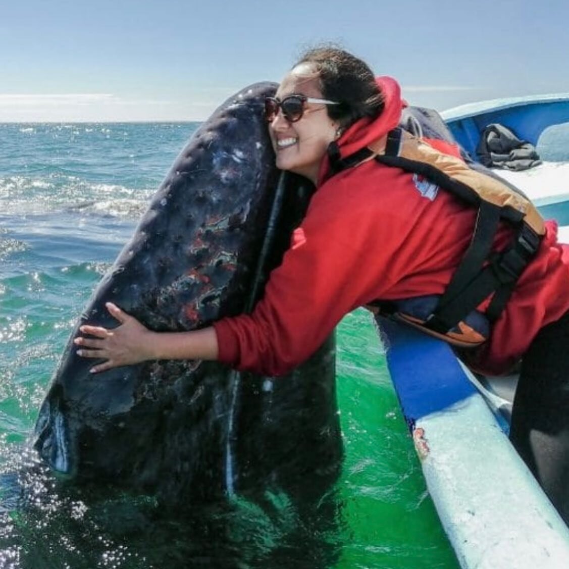 New H-Town Concierge Experience-Baja Ultimate Whale Adventure, San Ignacio Lagoon &amp; Sea of Cortez roundtrip from Cabo 🐋 

To book this trip or to learn more about the full itinerary head over to htownconcierge.com ! 

San Ignacio Lagoon
Located 