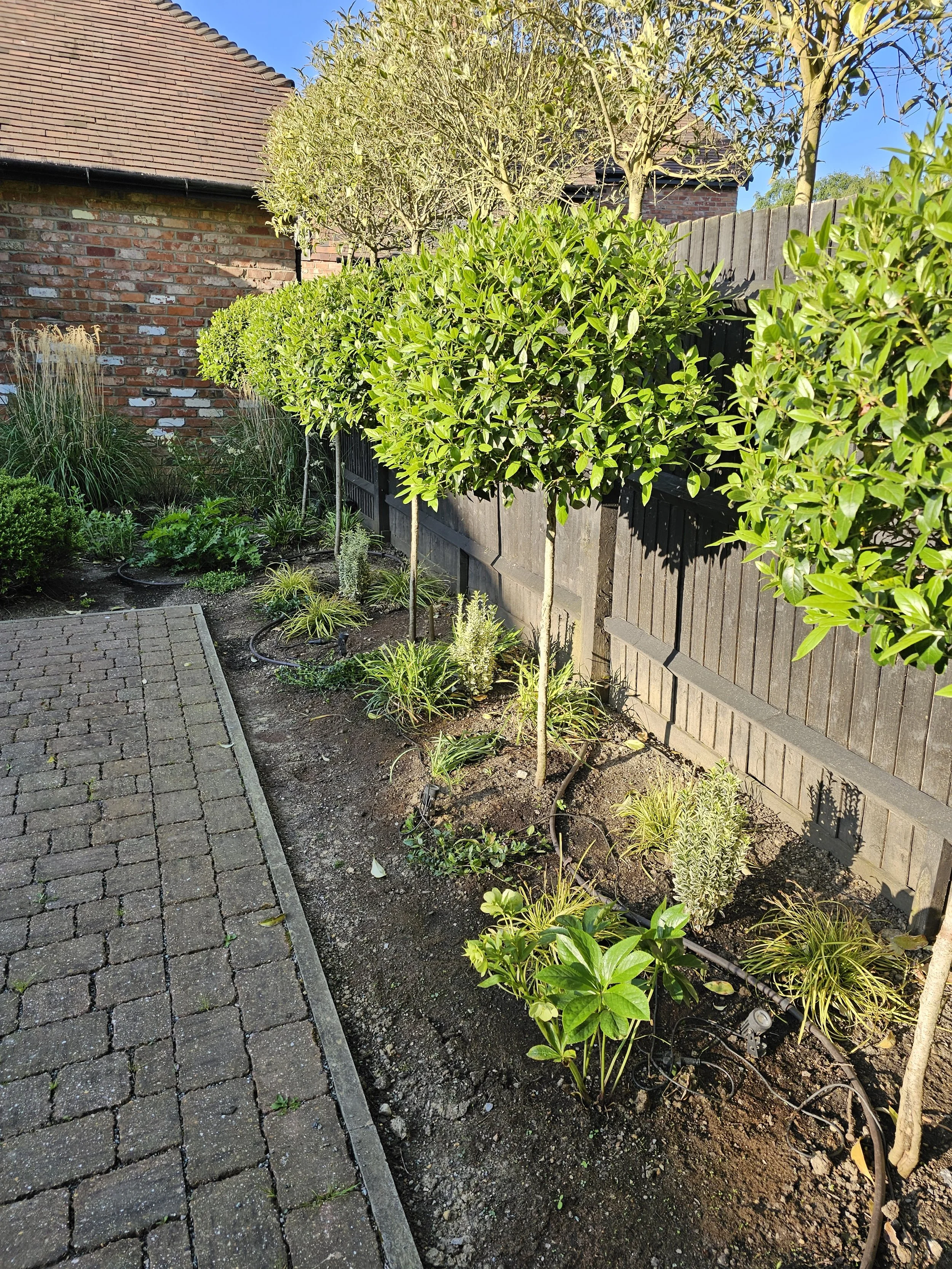 Copy of 20230526_185625.jpg