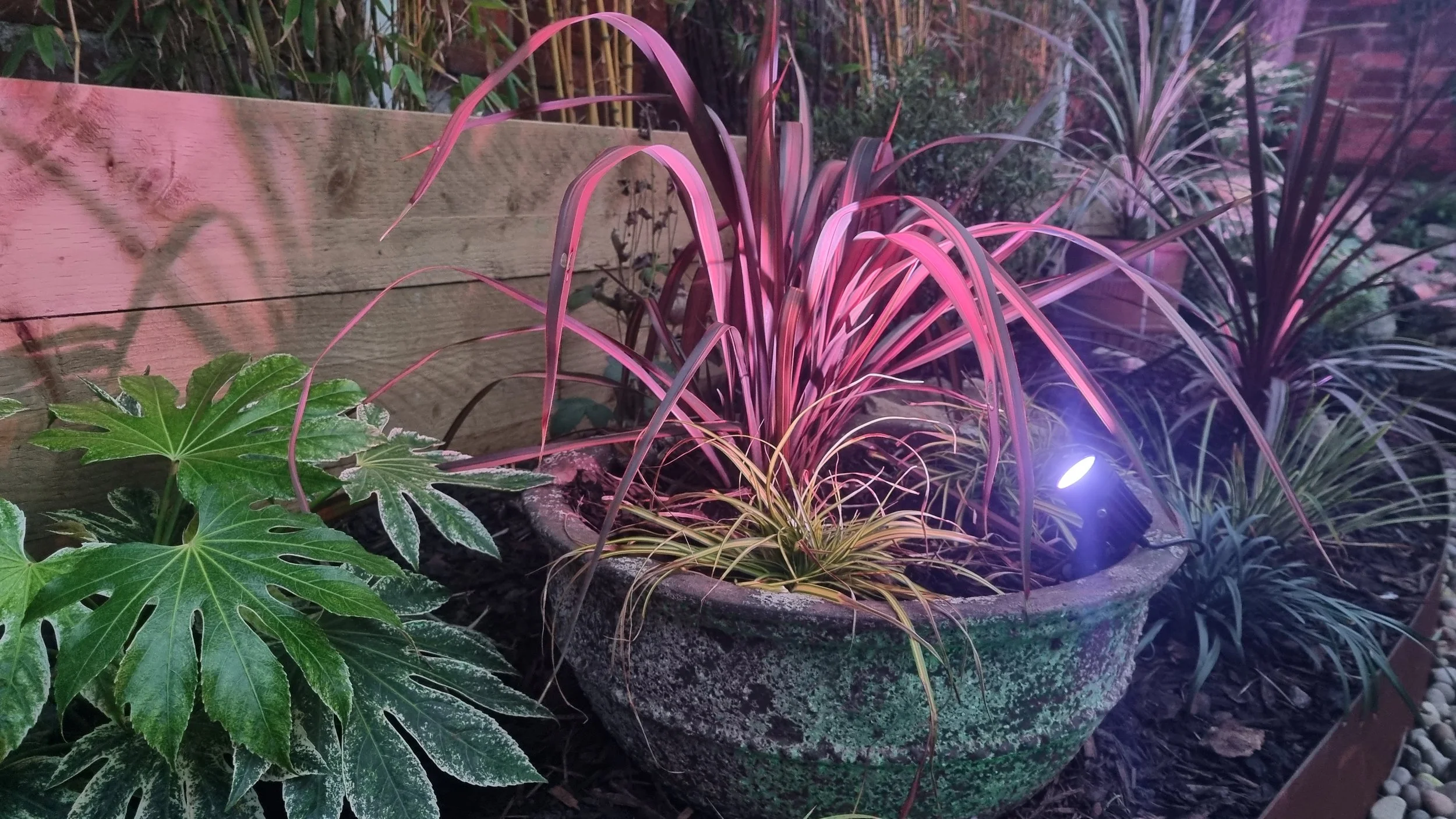 Copy of 20211213_155731.jpg