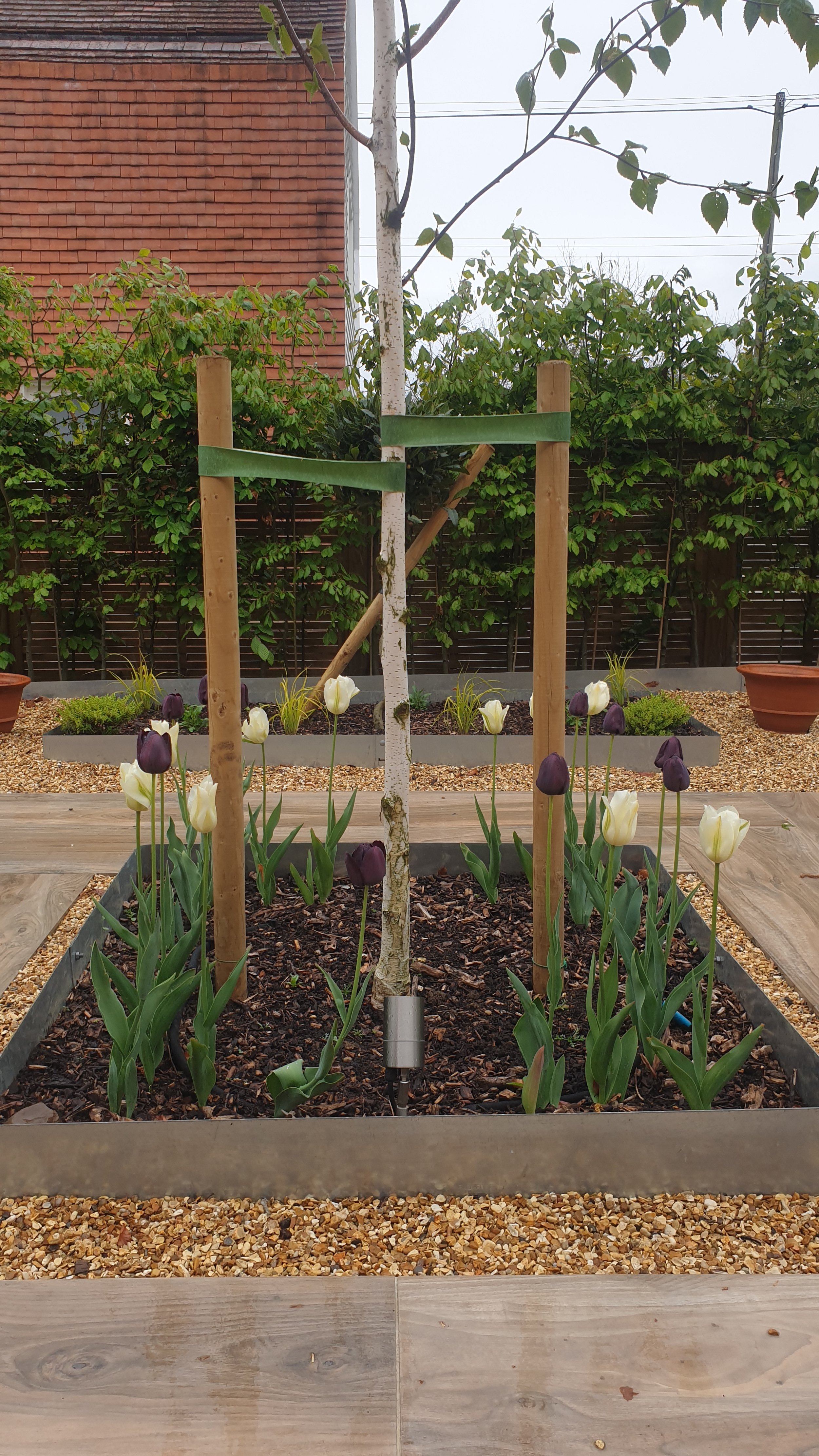 Copy of 20200428_162844.jpg