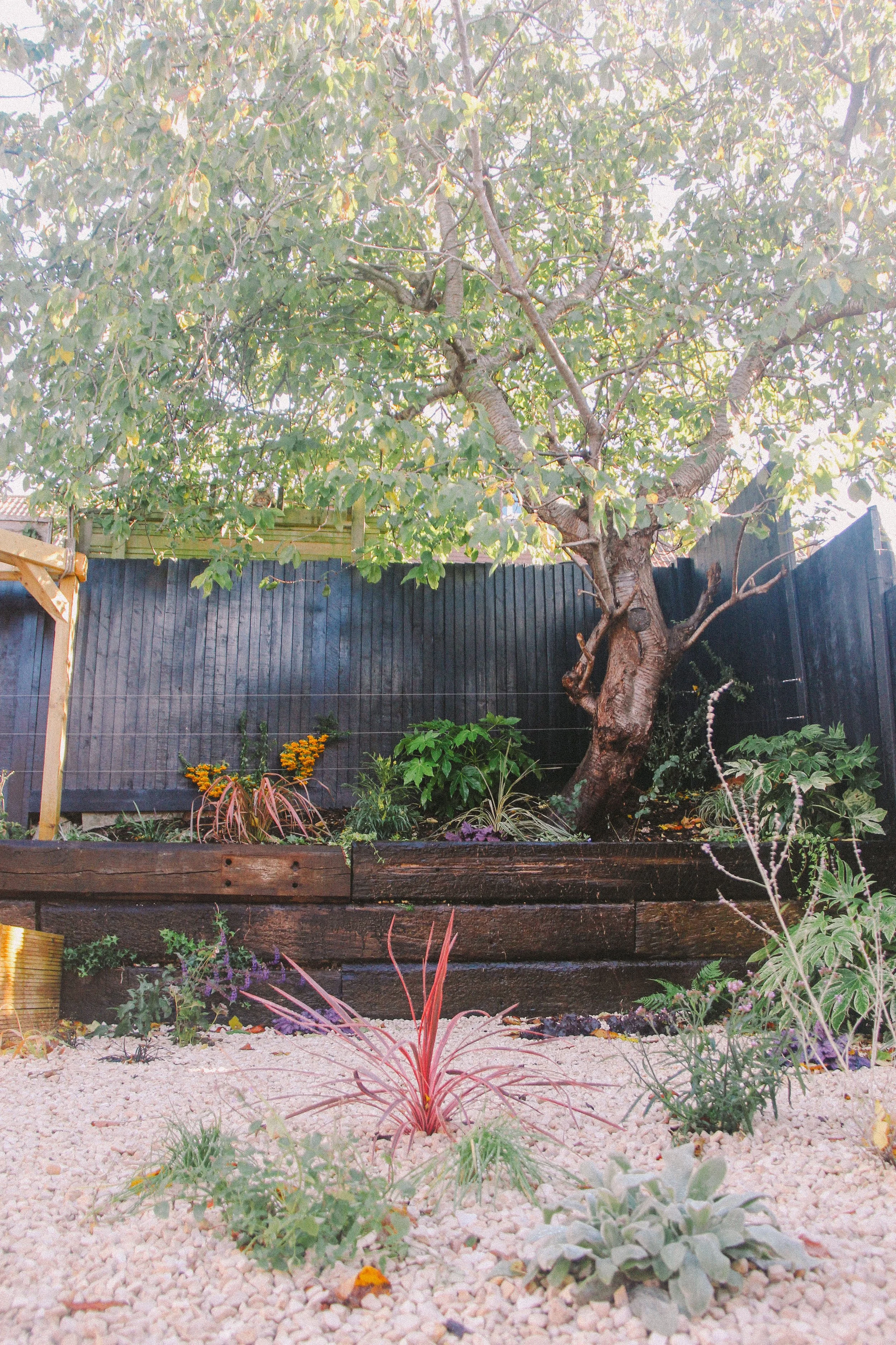 garden-087.jpg