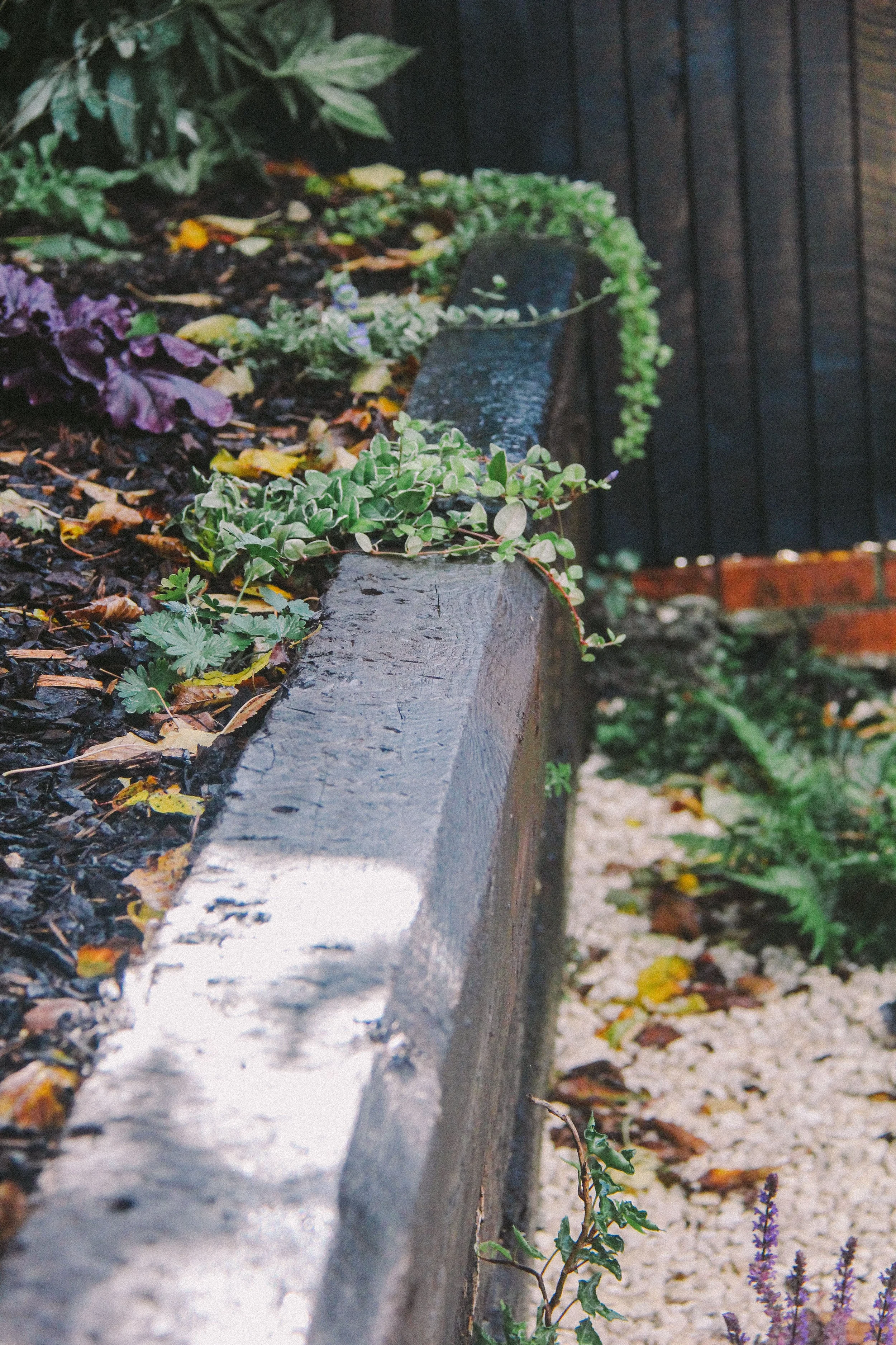 garden-125.jpg