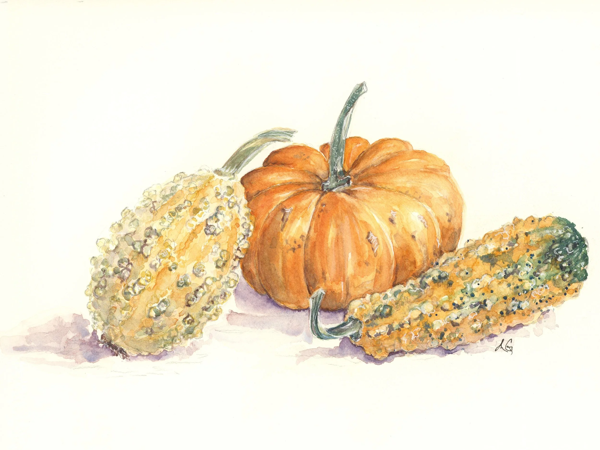 Bumpy Pumpkin Gourds