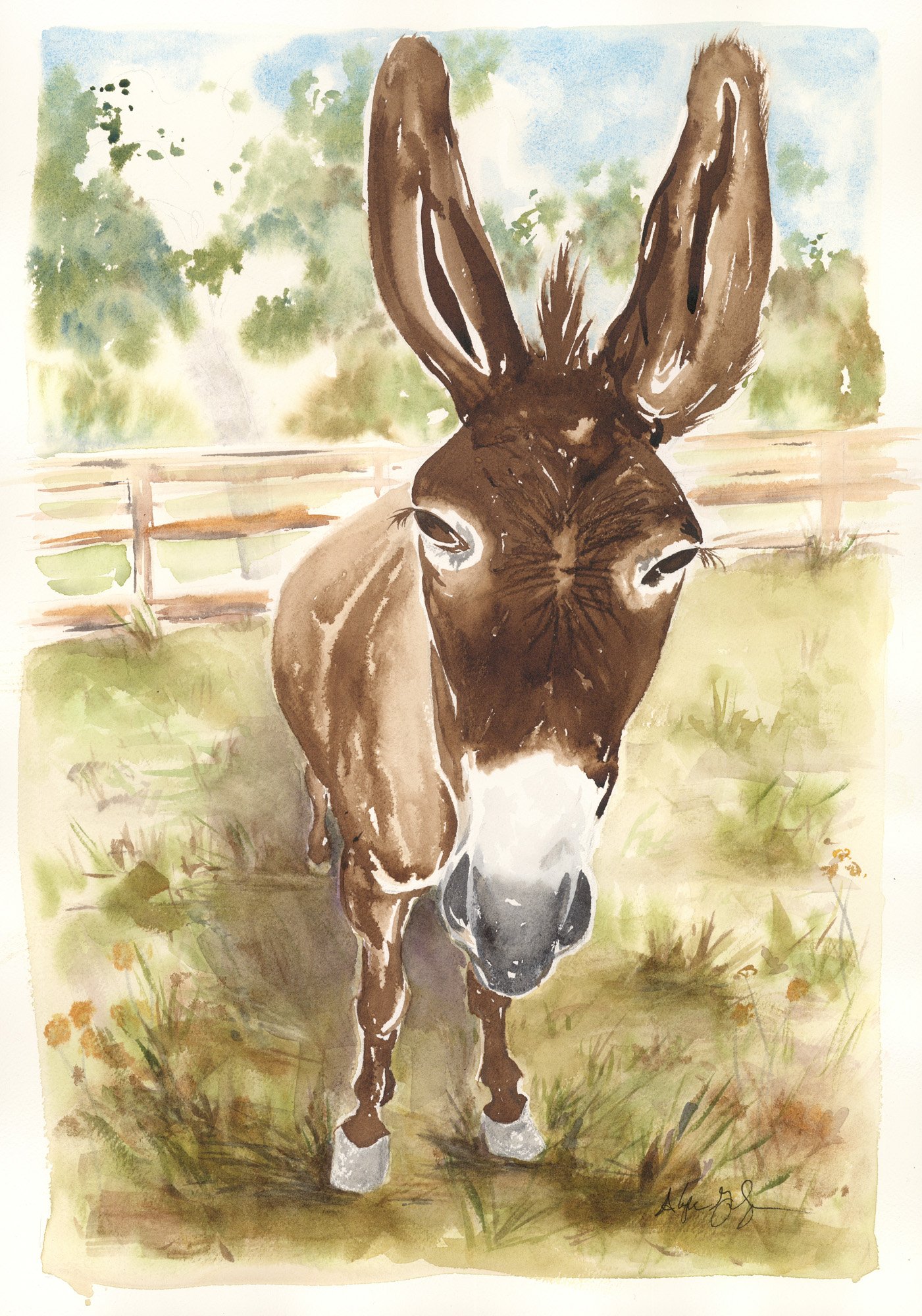 AlyssaGrundmeyer_CocotheDonkey