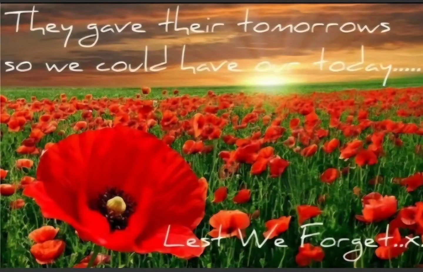 There is an outdoor ceremony at the Cenotaph outside the Bomber Command Museum. Gathering at about 10:30 a.m. with the proceedings beginning before 11 a.m. 
#rememberingourvets❤️ #remembranceday @bombercommandmuseum 
@explorefoothills 
@nanton.homeha