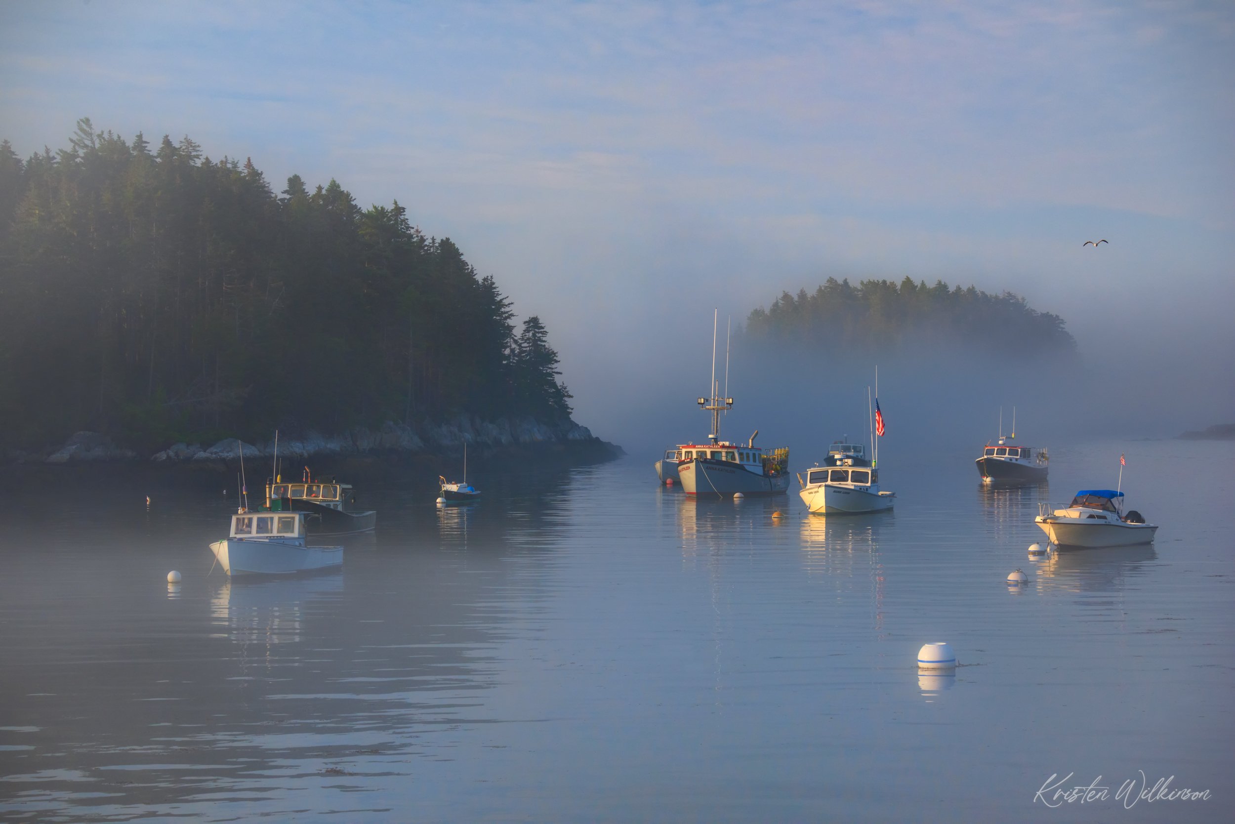 2019_07_21_FiveIslandsHarbor016.jpg