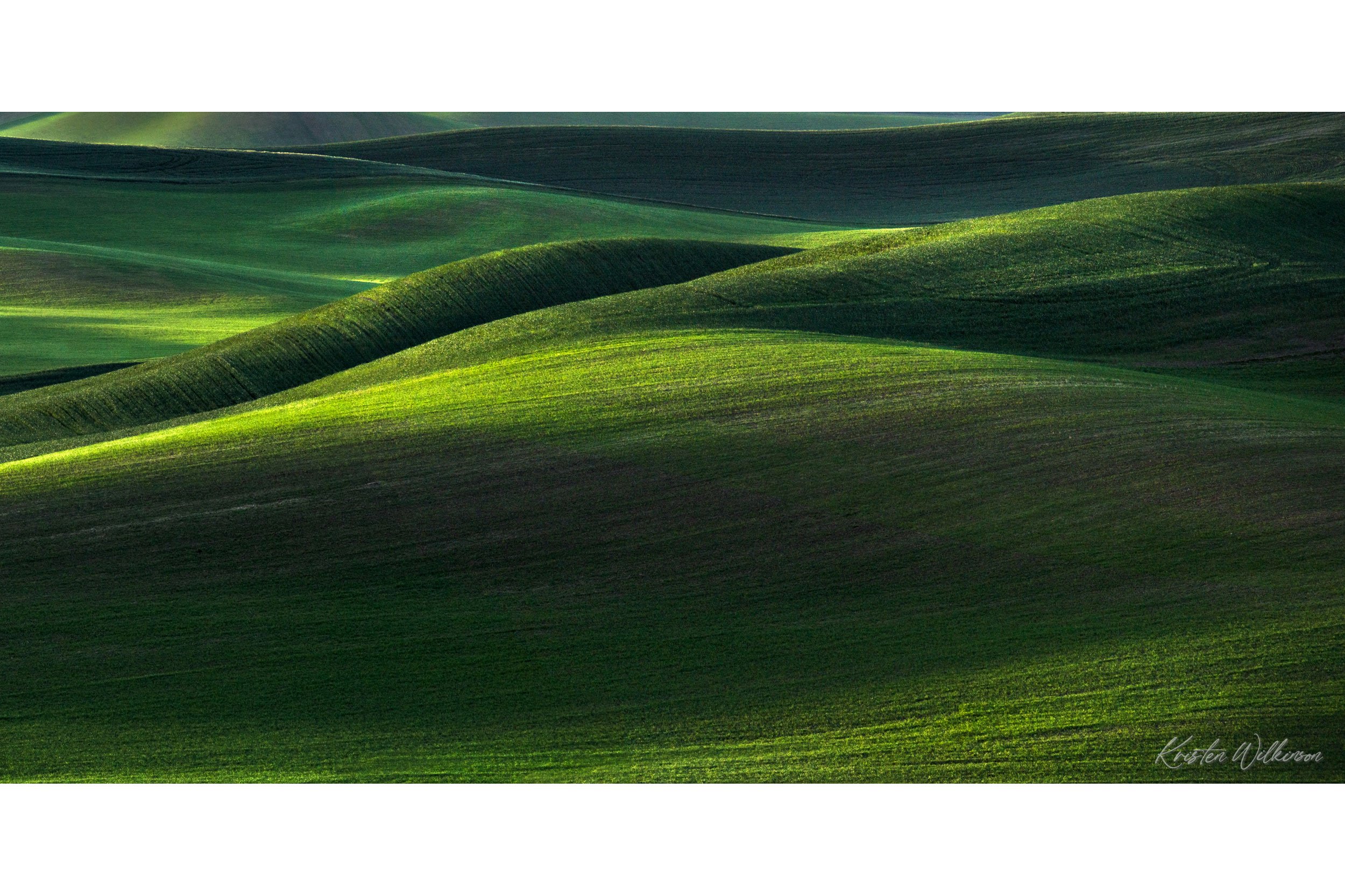 2019_06_05_Palouse006-Pano-1.jpg