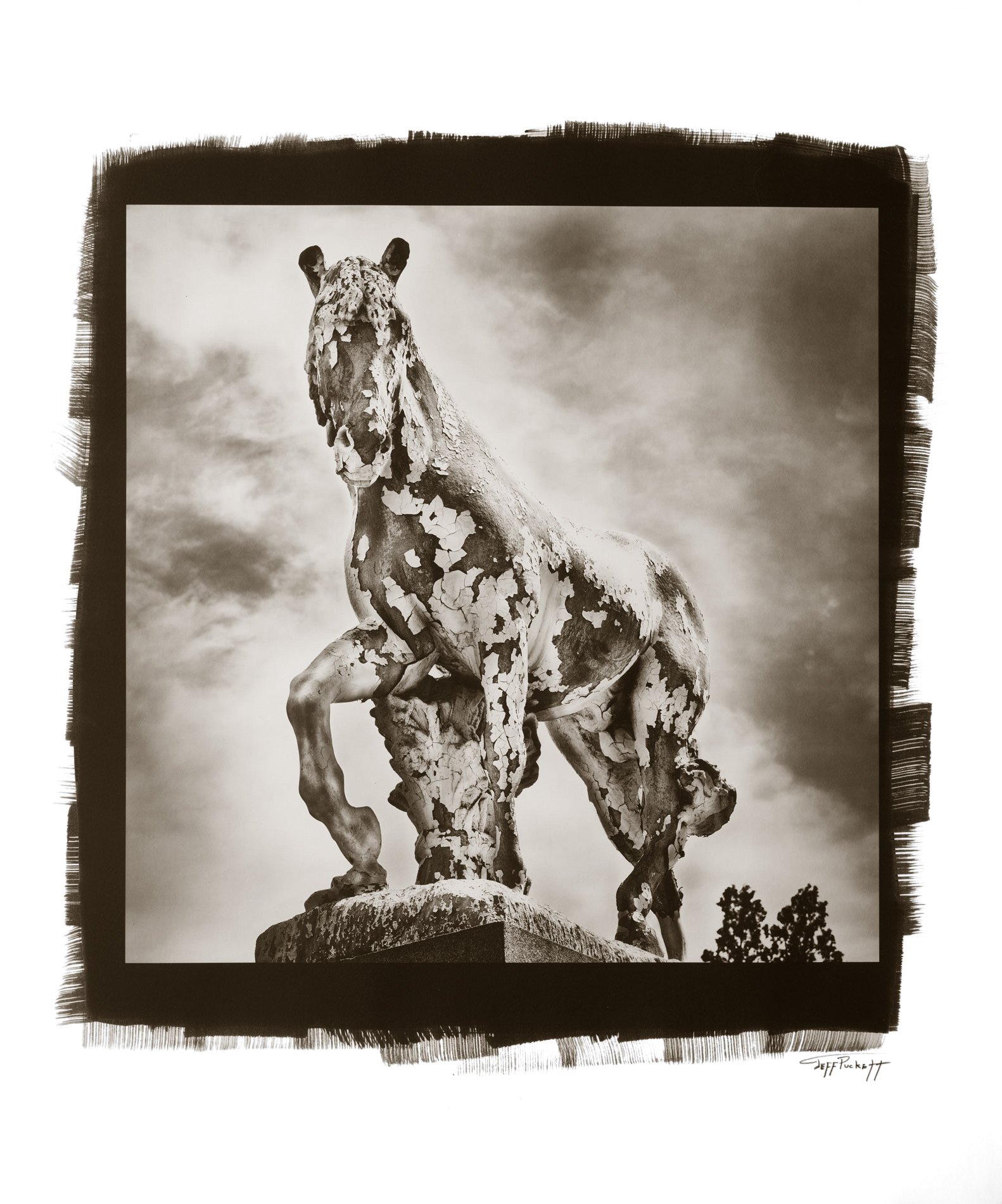 The-Horse-in-Pt-Pd copy.jpg