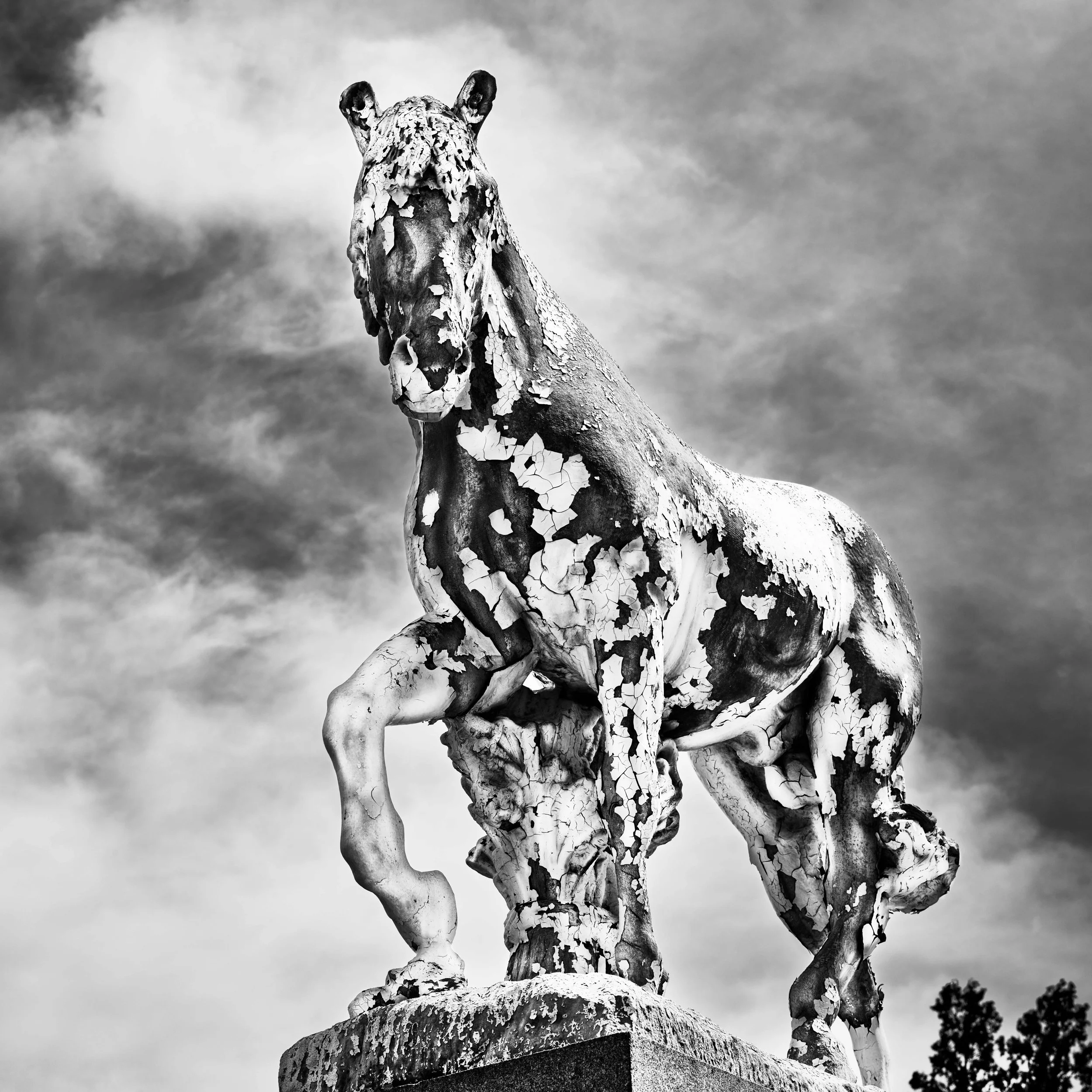 Legacy in Every Print: The Archival Quality of Photogravure