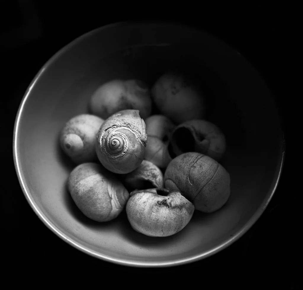 Behind the Lens: Finding Beauty in the Unexpected