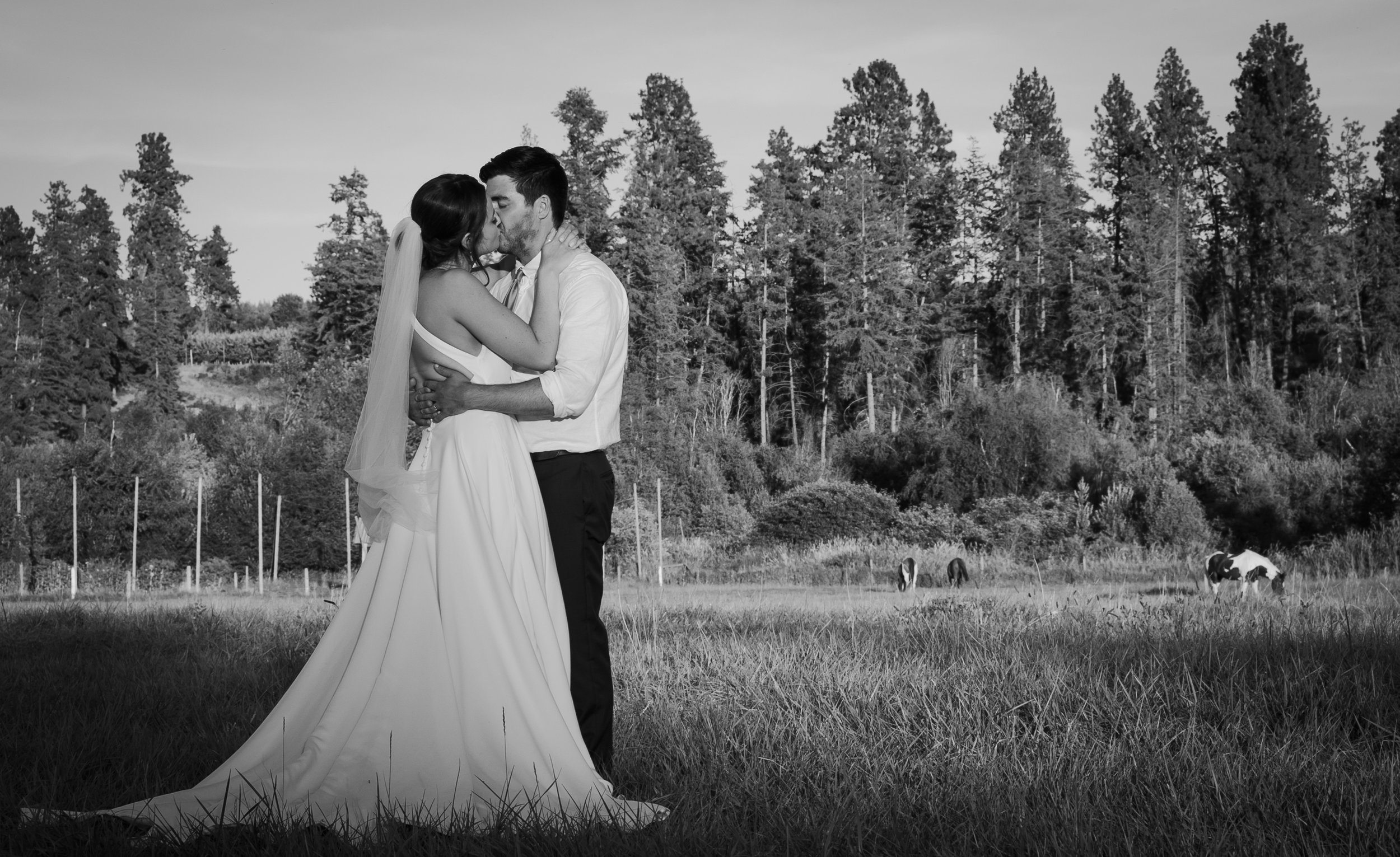 black and white wedding photography