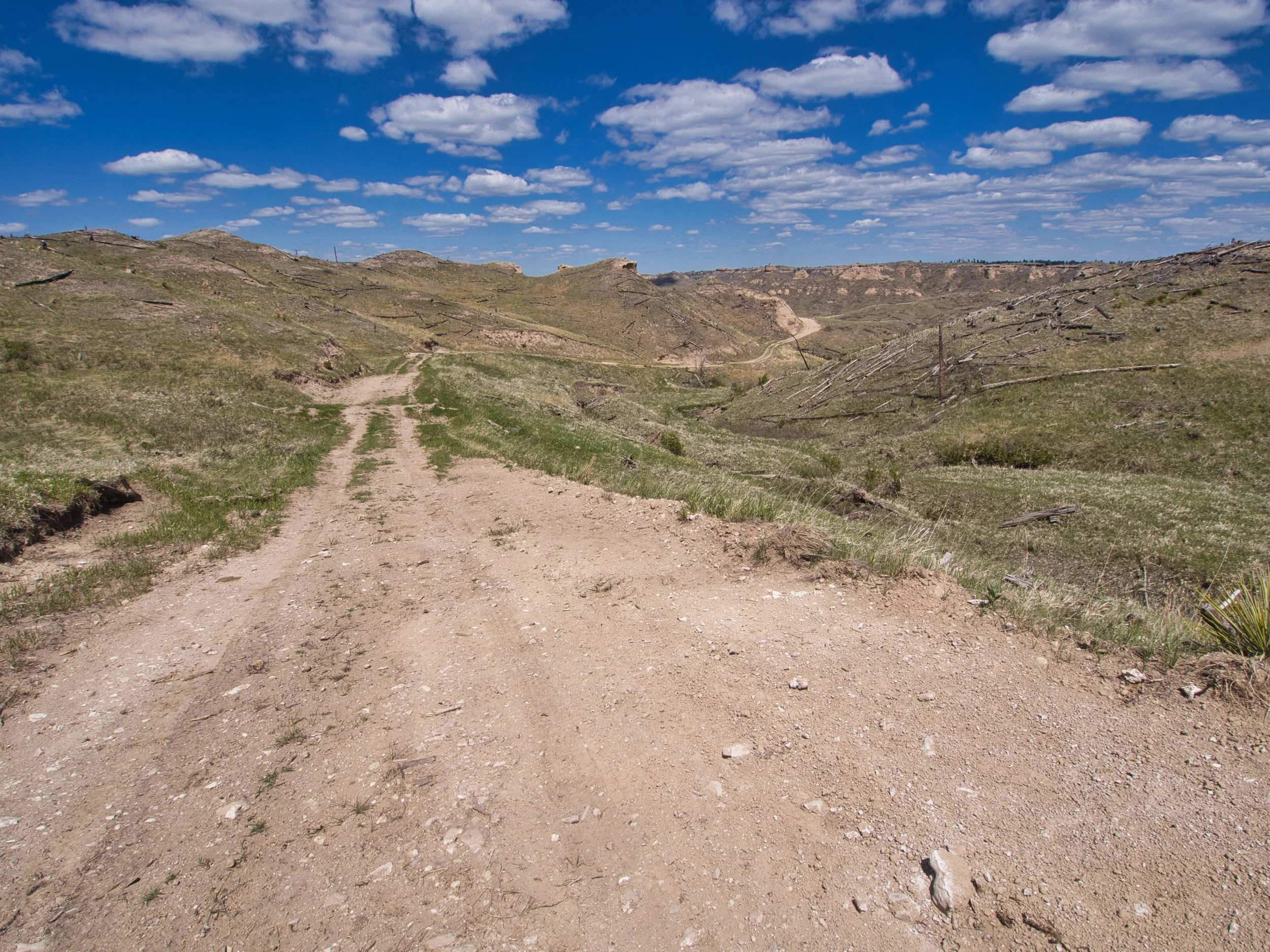 Ben’s May 2024 Adventures