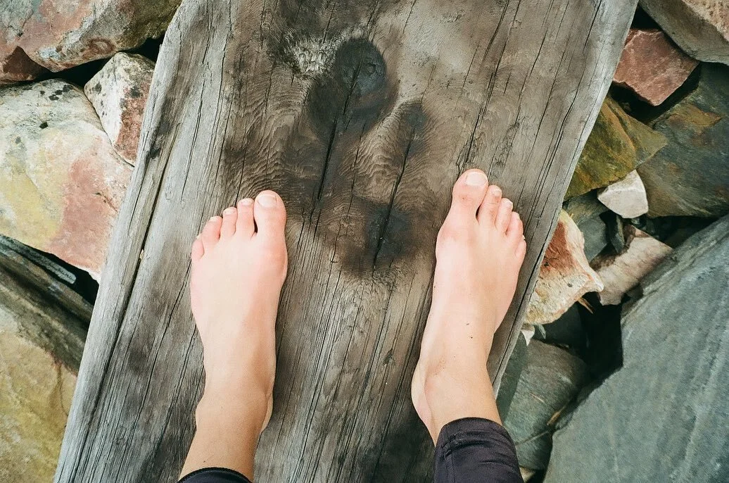 An inner reflection of the journey I&rsquo;m on ~ 

All of me is welcome 
I am learning to hold more fully 
my whole self and experience 
In this moment I am grounding into my roots
Into my body - feet, thighs, sit bones, sacrum 
I feel connected 
To