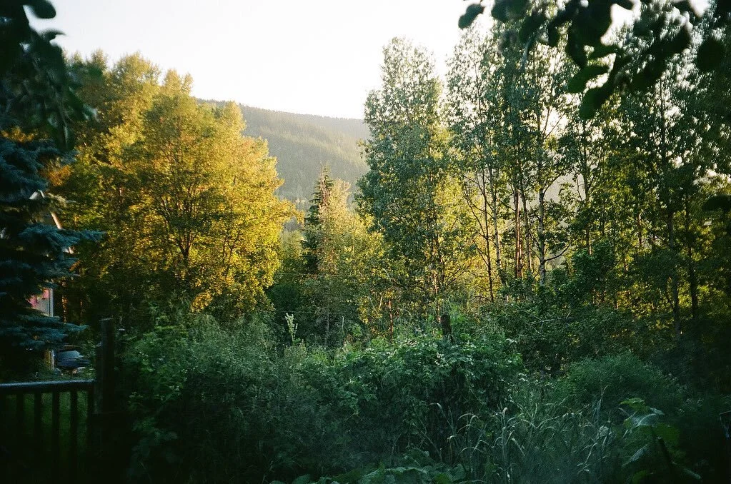Film moments from last year ~ 

So looking forward to being nourished by sunny days in the garden ☀️