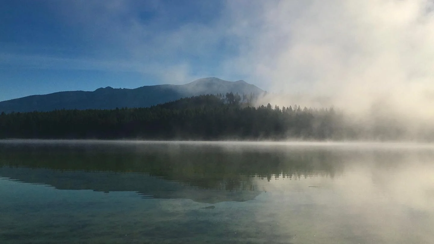 I want to be alive with you 
I want to be guided by older-ups. I want babies to be born where old people die. I want to be sandwiched in the middle of a messy togetherness. I want to be warned before I do something stupid. I want to be forgiven when 