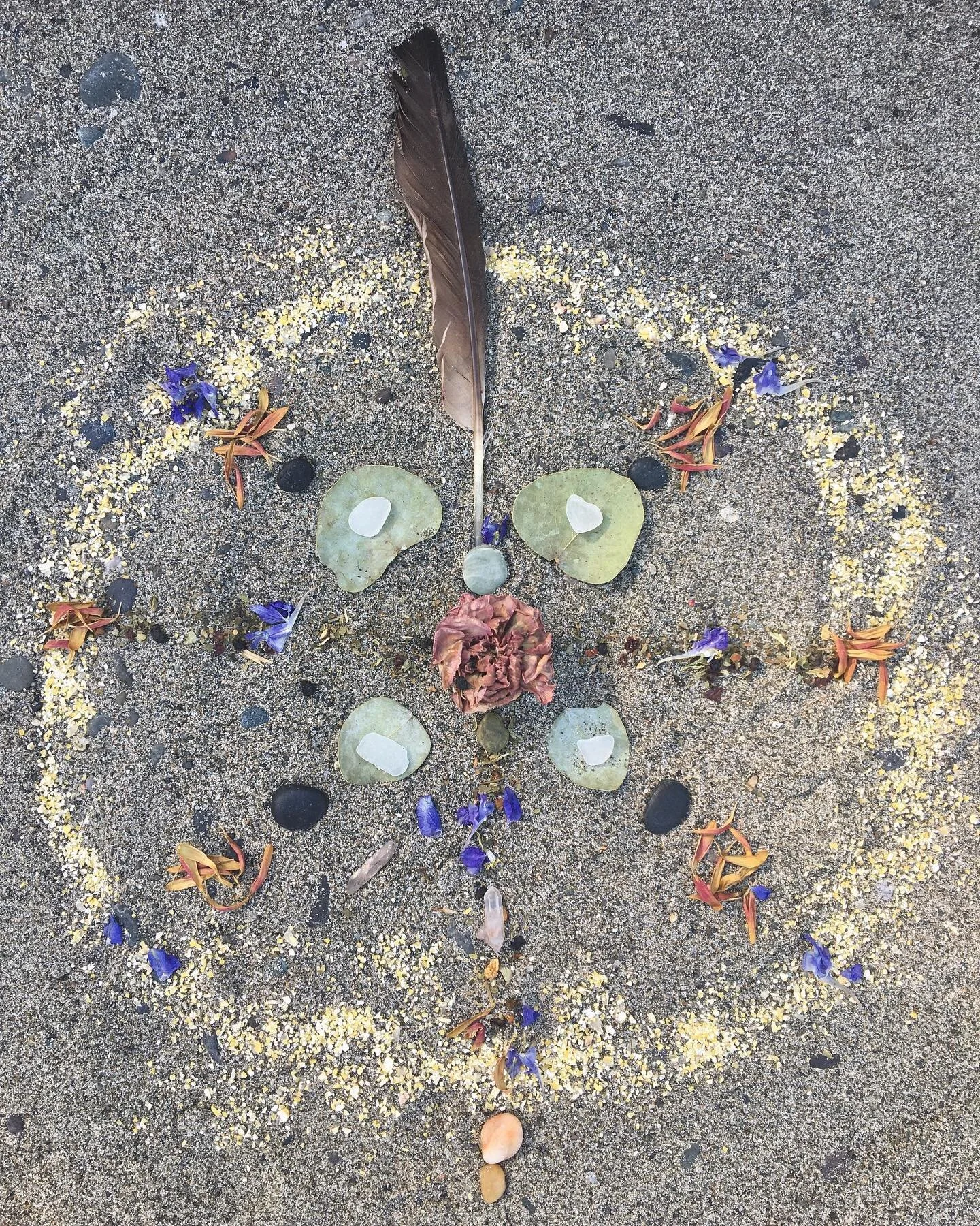 The taste of freedom!
Sometimes it felt like this day would never come. 
So grateful to be in the other side of that beast. 
I&rsquo;m ready universe, (ᵒ̤̑ ₀̑ ᵒ̤̑)wow!*✰ me 
💜✨🙏🏽