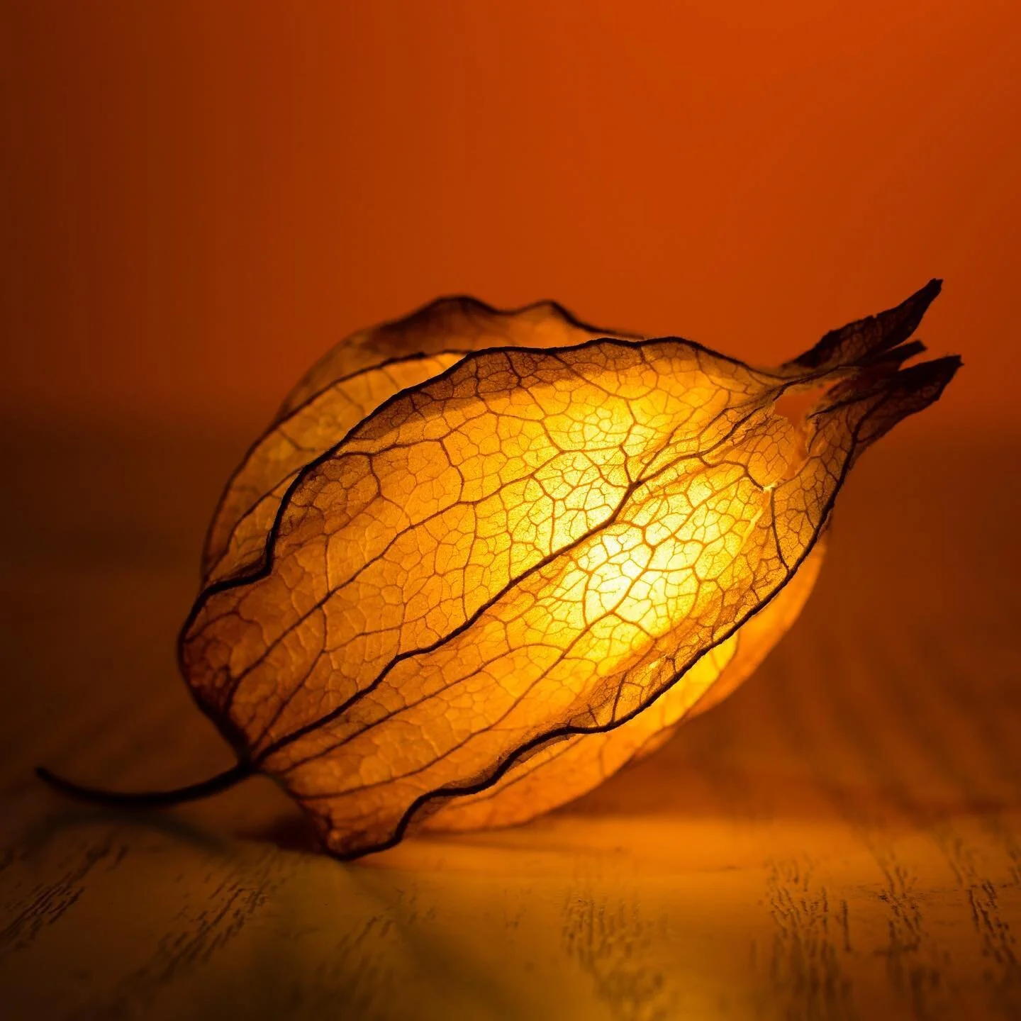 ✨Inner Light ✨
I love the glowing light in this image
A light that shines from within
A reminder of the light within myself and all beings 

Sometimes it feels hard to connect to and remember this inner light as the turbulences of life take me on a r