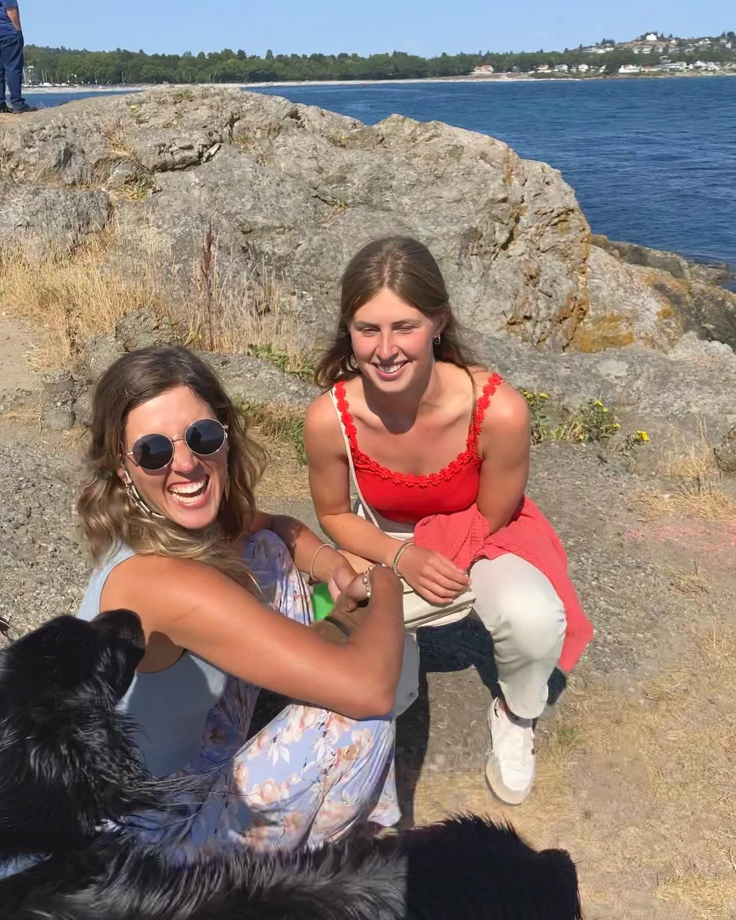 Reminiscing on a week spent with the fam on the island, feeling so grateful for them
🐏
Also said bye to our first home in Canada from all those years ago, the van. Thank you for being such a legendary adventure mobile 💛