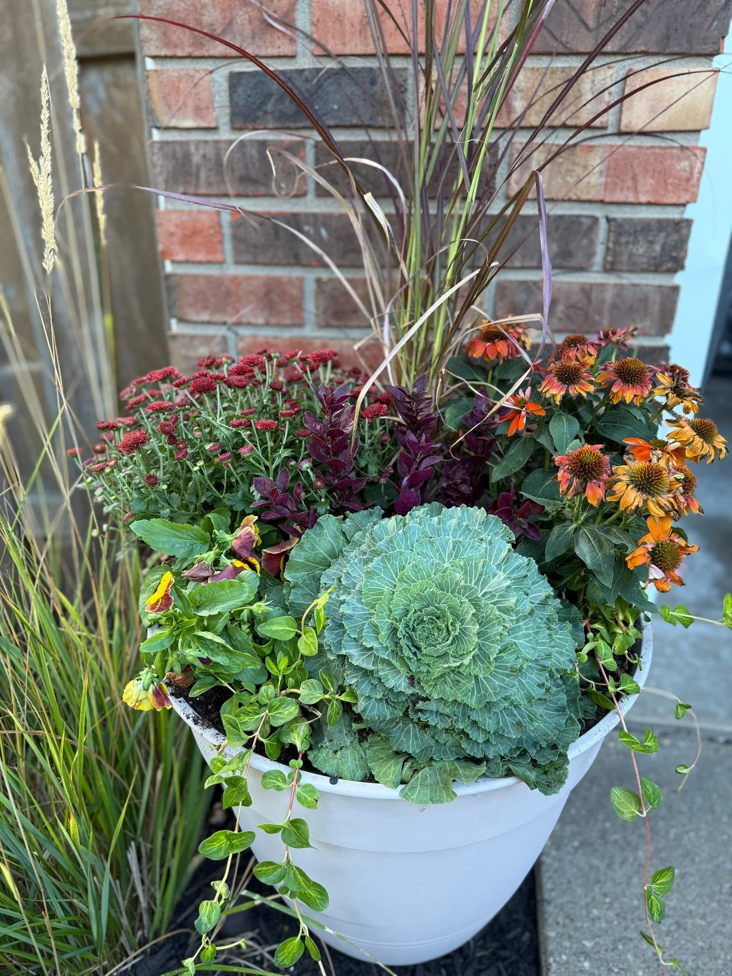 It’s beginning to look a lot like … Autumn. Feeling a bit behind? Be ready each season with our seasonal planter subscriptions. It’s not too late to get on our Fall schedule.
#quadcitiesporchpots #fallporchpots #quadcitiescontaine