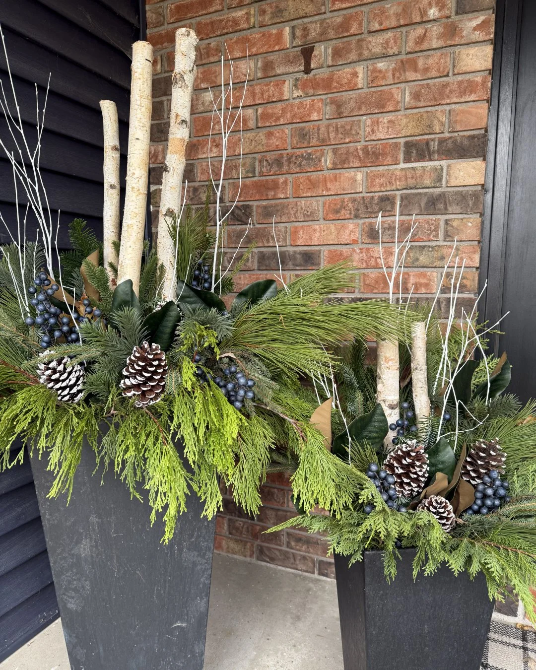 Winter beauties! Blue and white accents are the perfect complement to the red brick and blue siding.