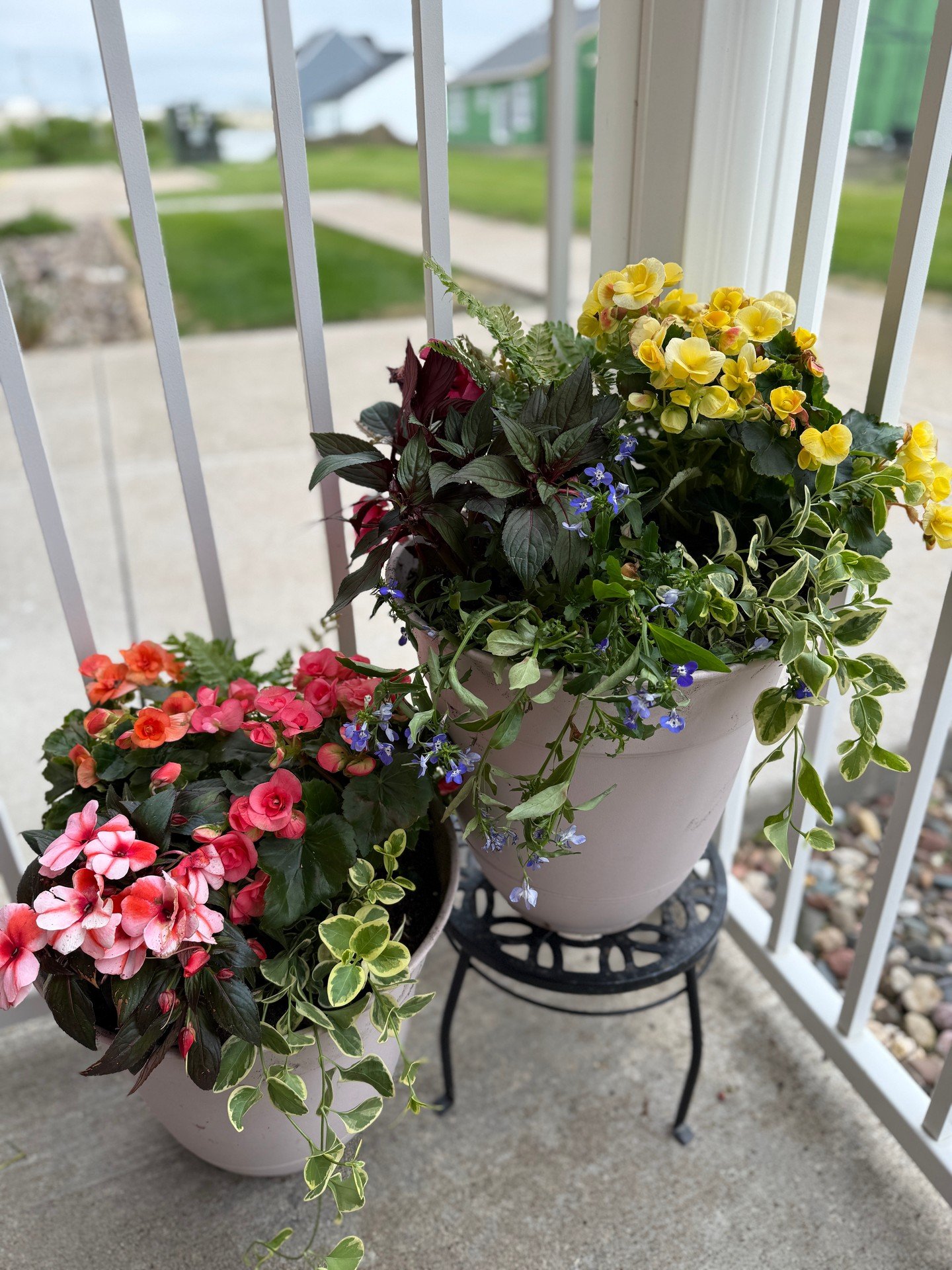 Bright and colorful summer pots on a cloudy day.