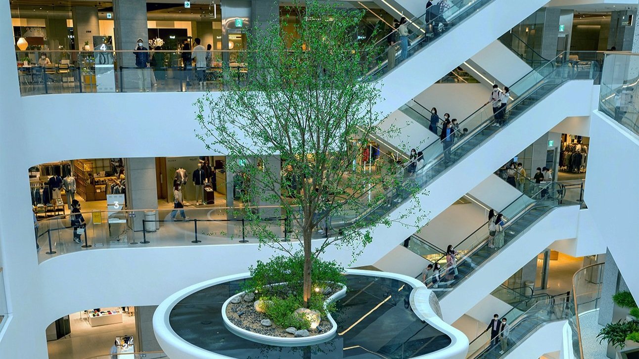 What does the future hold for mall real estate