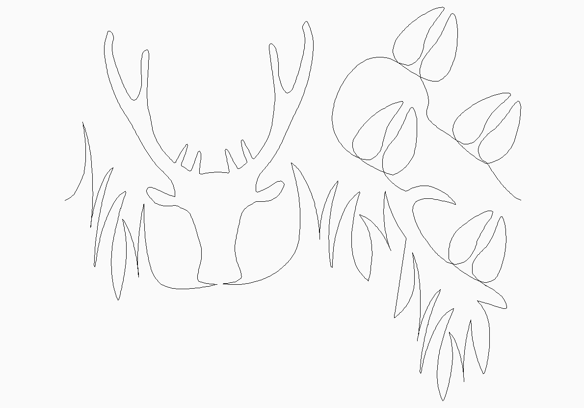 Deer Path with Prints