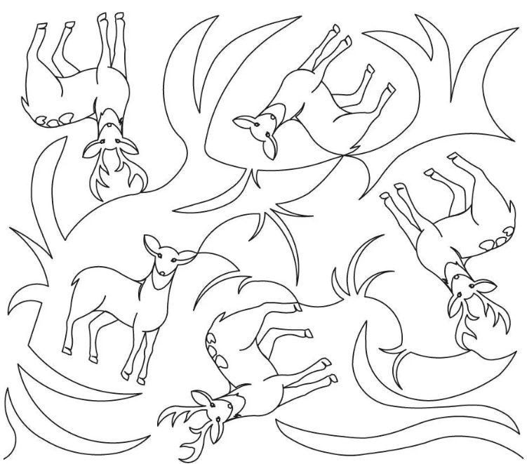 Deer