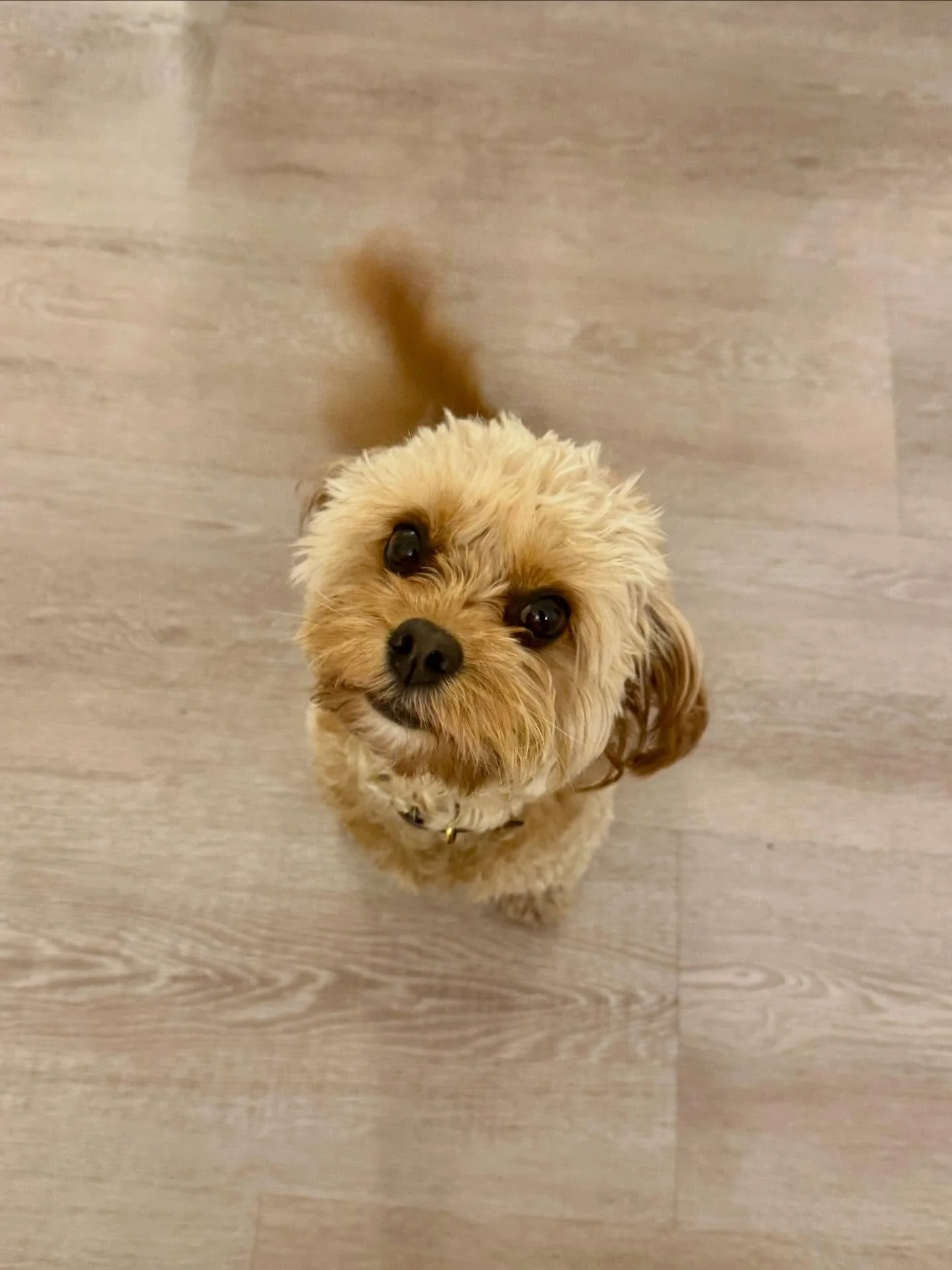 Latelyyyy&hellip; 🤍

#facialist #londonfacialist #facials