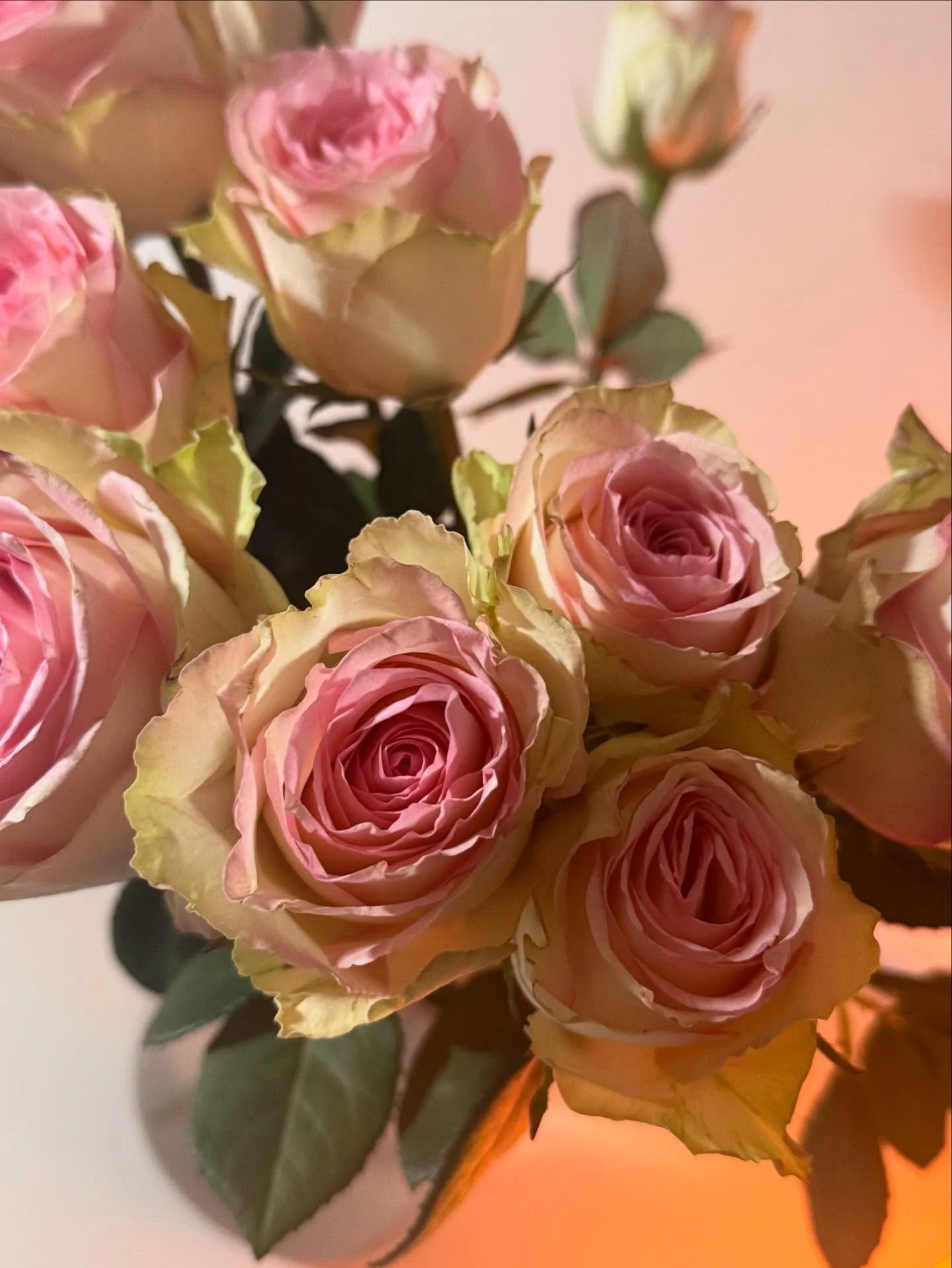 This January looked a lot like this ❤️
Calm studio days, slow beauty rituals,
and one night out to celebrate life 🥰

Grateful for every moment.

#facialist #timelessbeauty #skinrituals