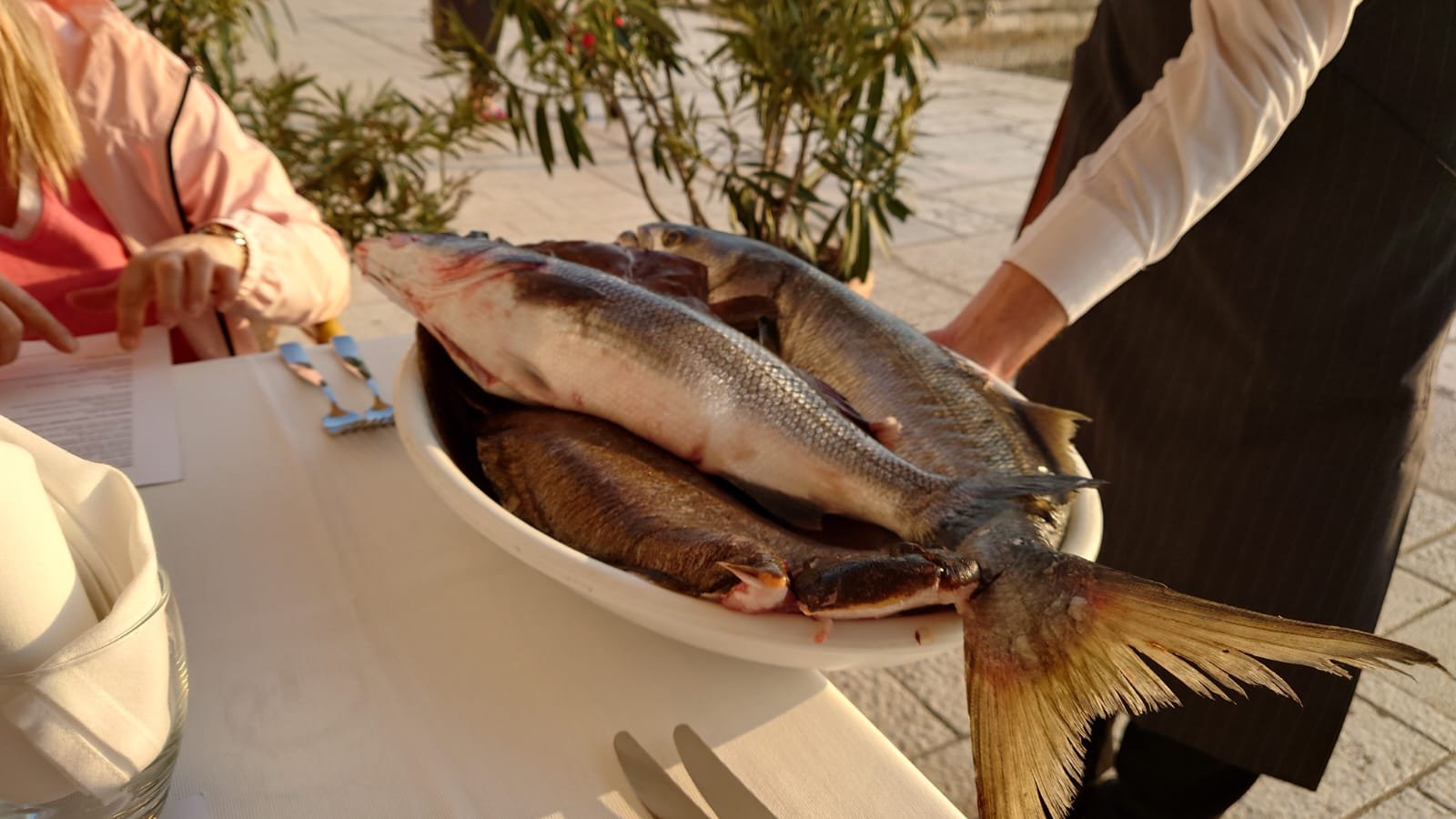 WhatsApp Image 2022-03-26 at 17.16.15.jpeg