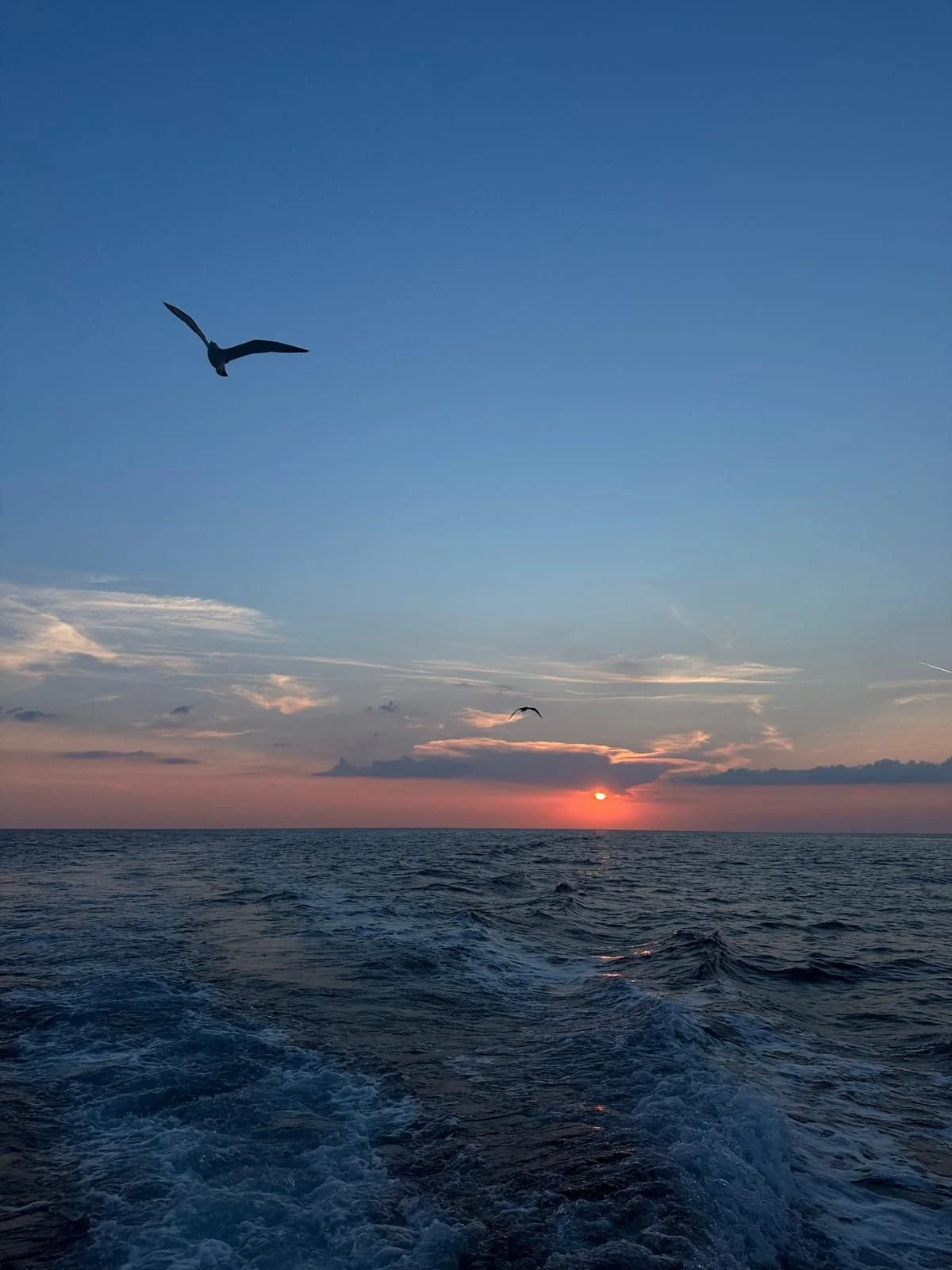 WhatsApp Image 2024-08-26 at 18.54.04.jpeg