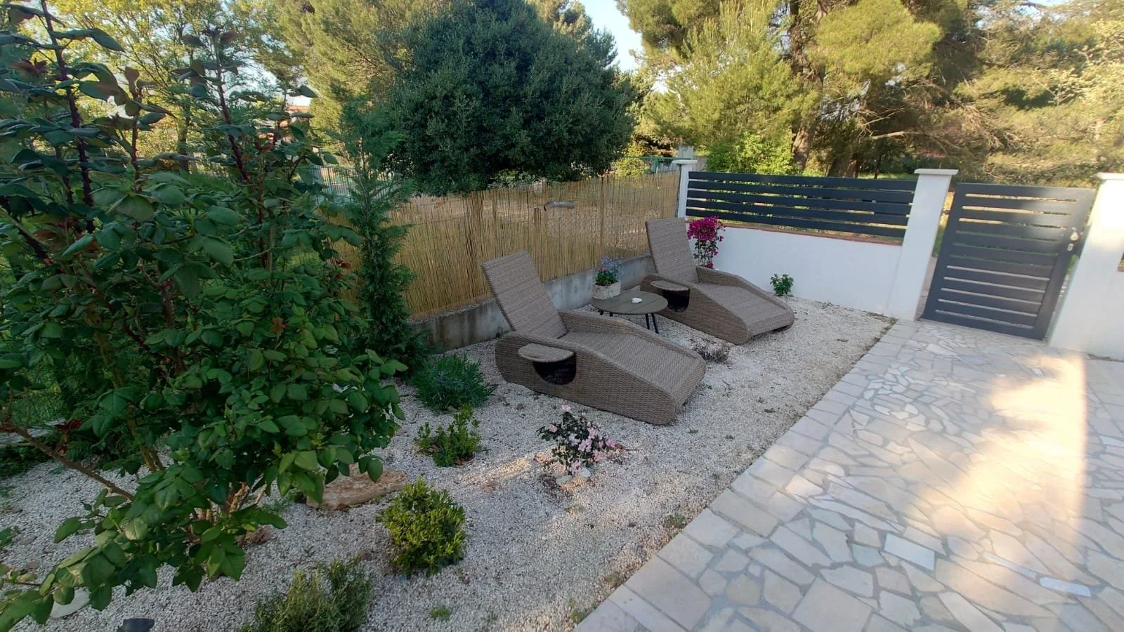 WhatsApp Image 2022-06-11 at 12.02.33 (4).jpeg