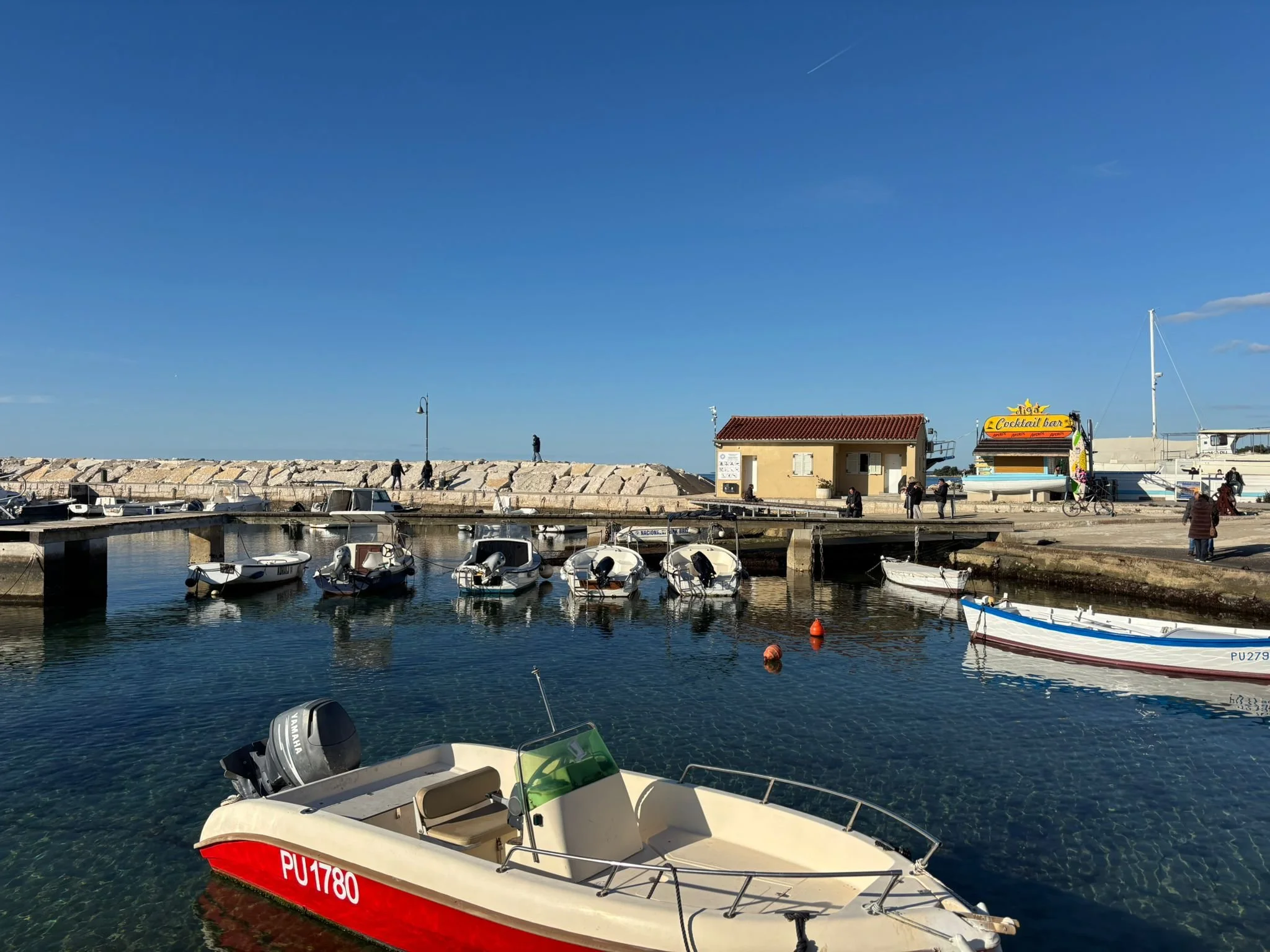 WhatsApp Image 2026-01-12 at 13.48.10 (1).jpeg